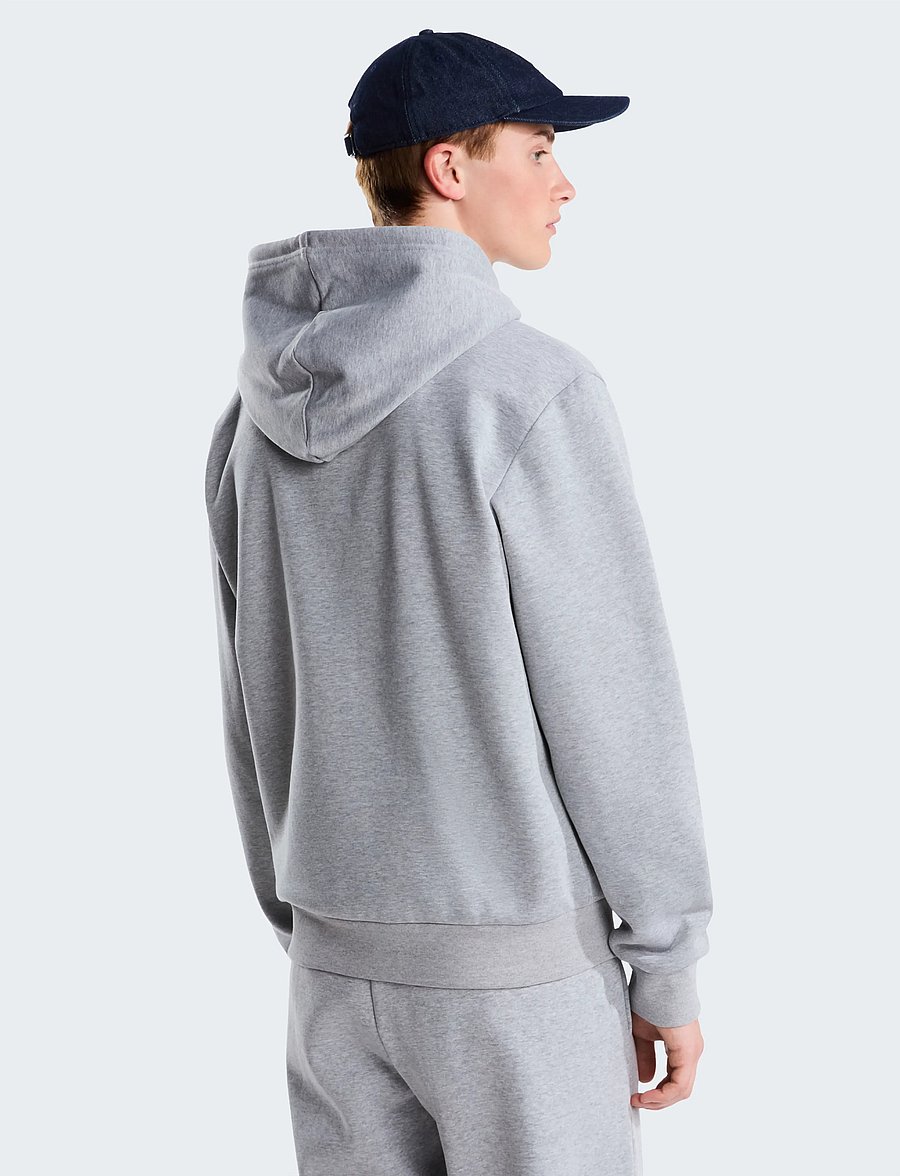 The North Face - M EVOLUTION SIMPLE DOME REGULAR FULL ZIP - sweatshirts - tnf pale grey heather - 5