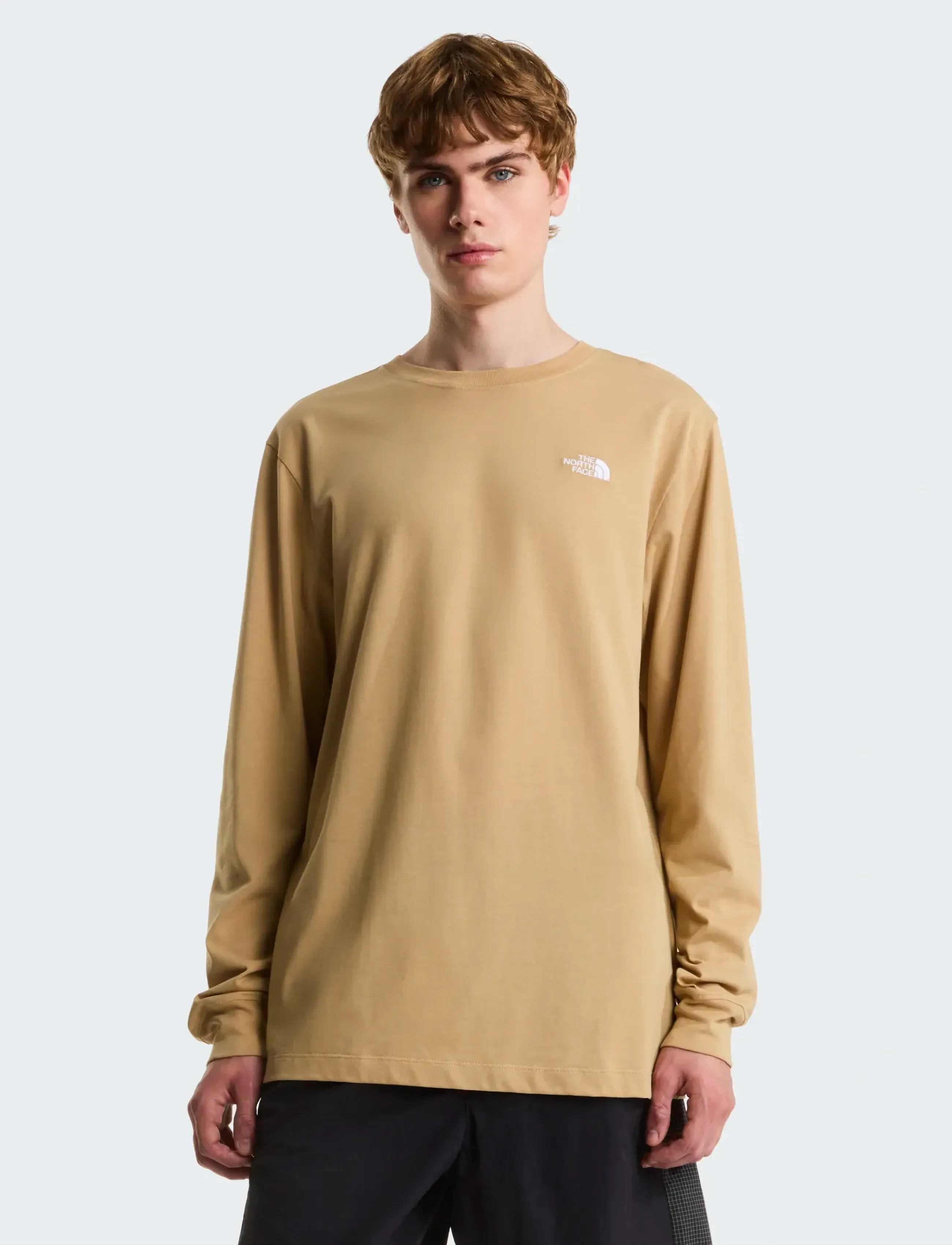 The North Face M EVOLUTION SIMPLE DOME REGULAR LONG SLE - T-shirts - KHAKI STONE / beige
