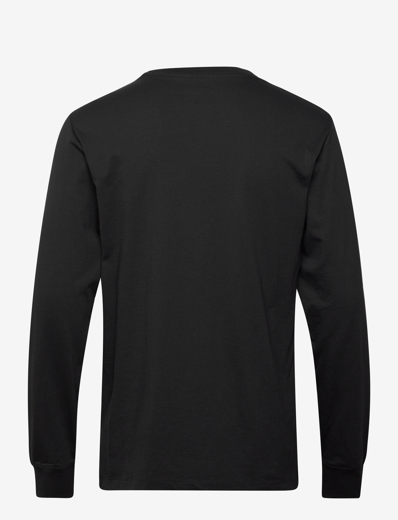 The North Face - M EVOLUTION SIMPLE DOME REGULAR LONG SLE - långärmade tröjor - tnf black - 2