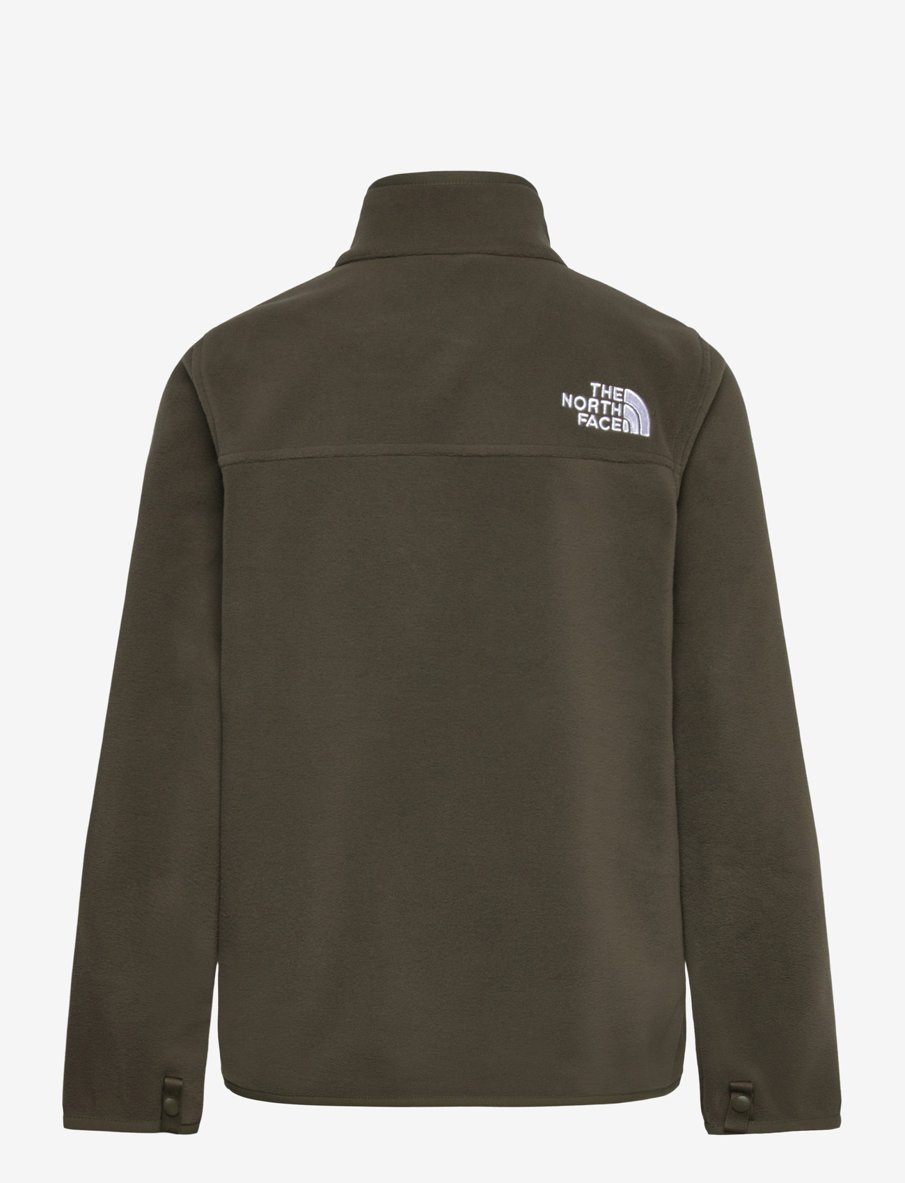 The North Face - TEEN GLACIER FZ ZIP IN JACKET - new taupe green - 2