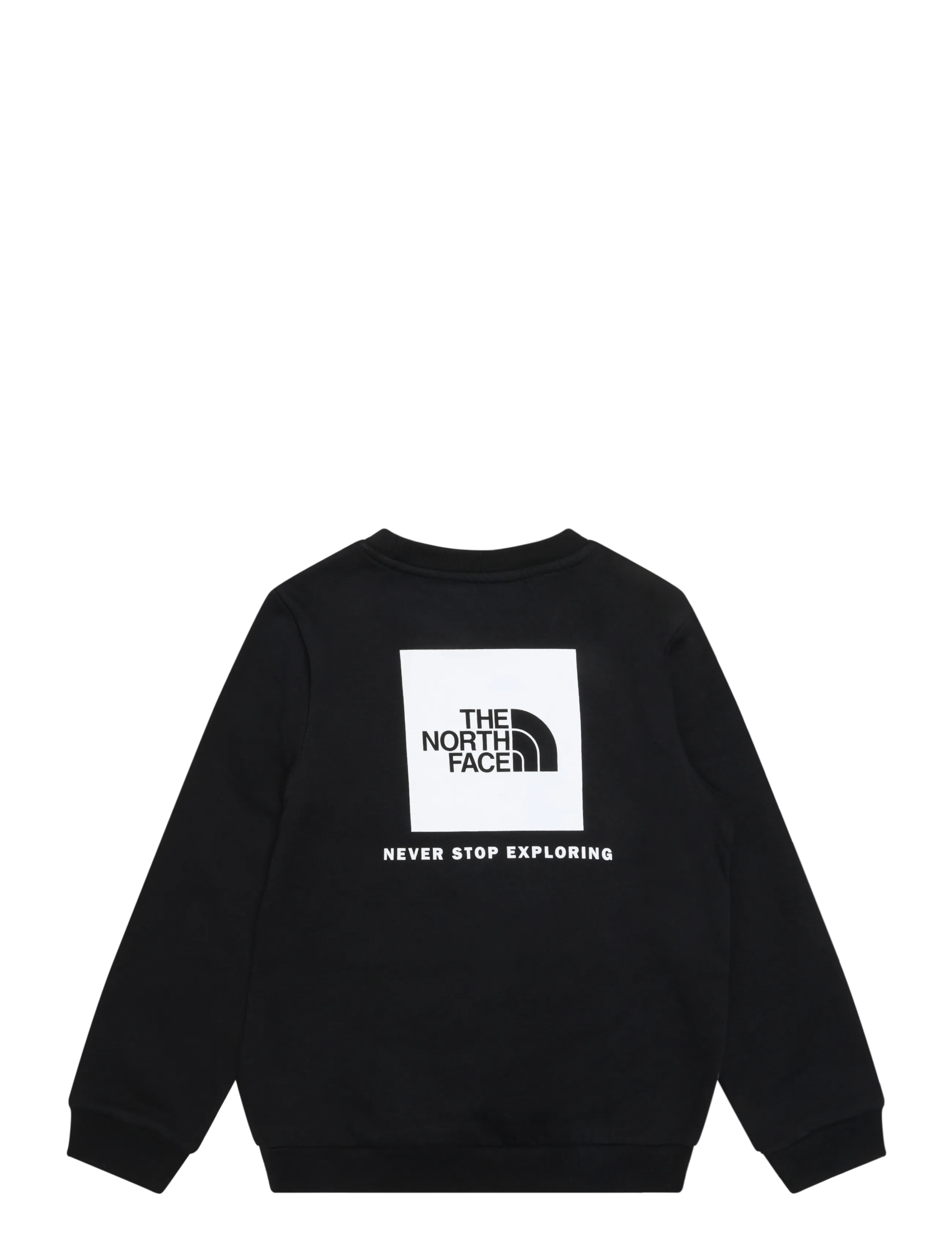 The North Face - TEEN EVOLUTION BOX NSE CREW - sweatshirts - tnf black - 2