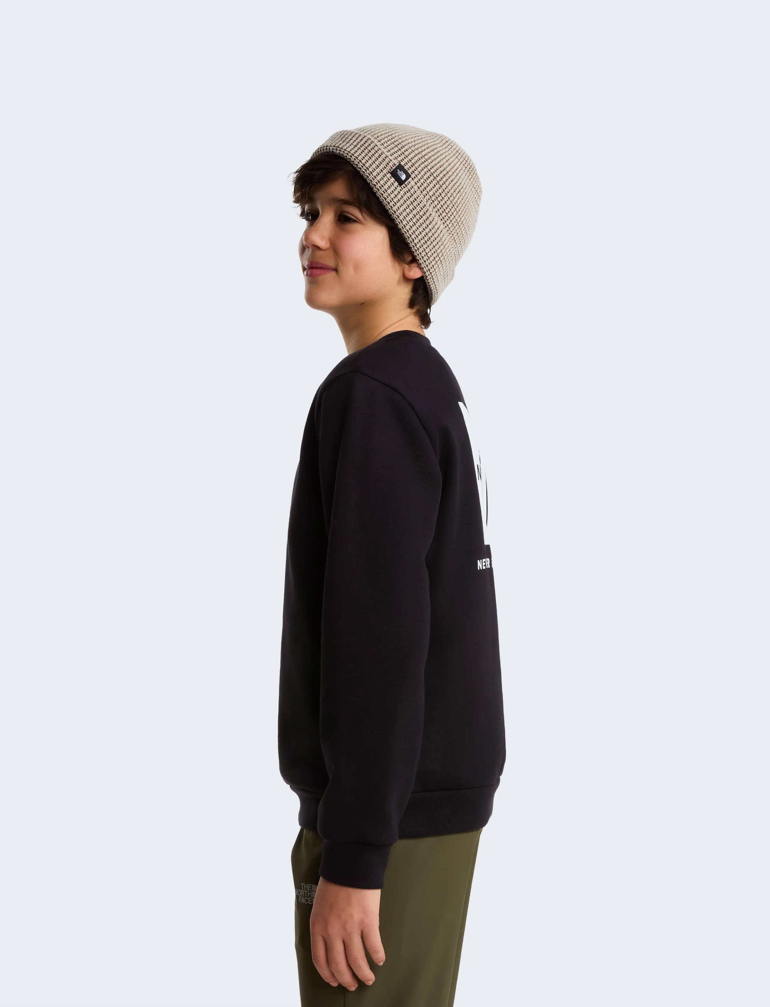 The North Face - TEEN EVOLUTION BOX NSE CREW - sweatshirts - tnf black - 5