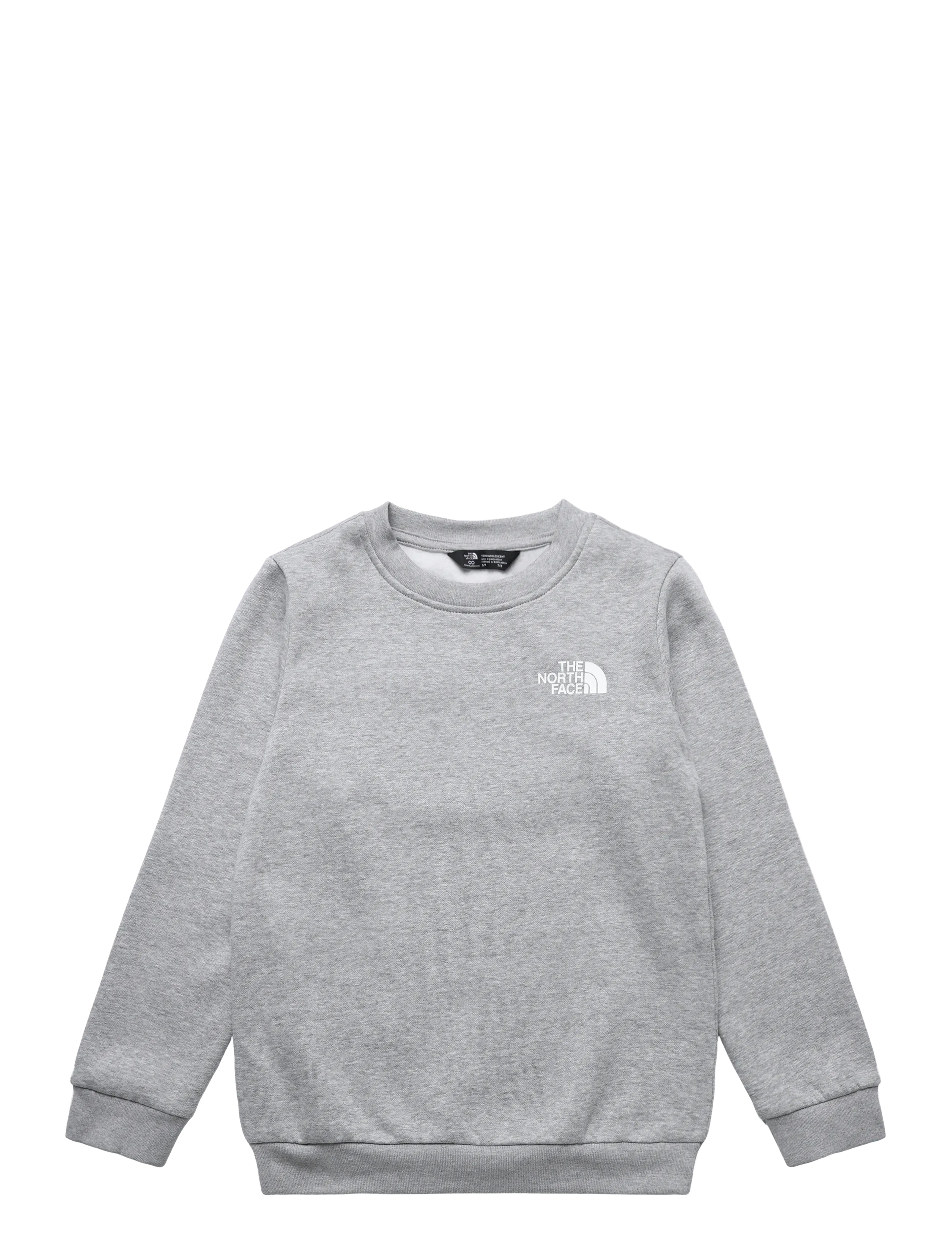 The North Face TEEN EVOLUTION BOX NSE CREW - Tagasi kooli - TNF PALE GREY HEATHER / grey