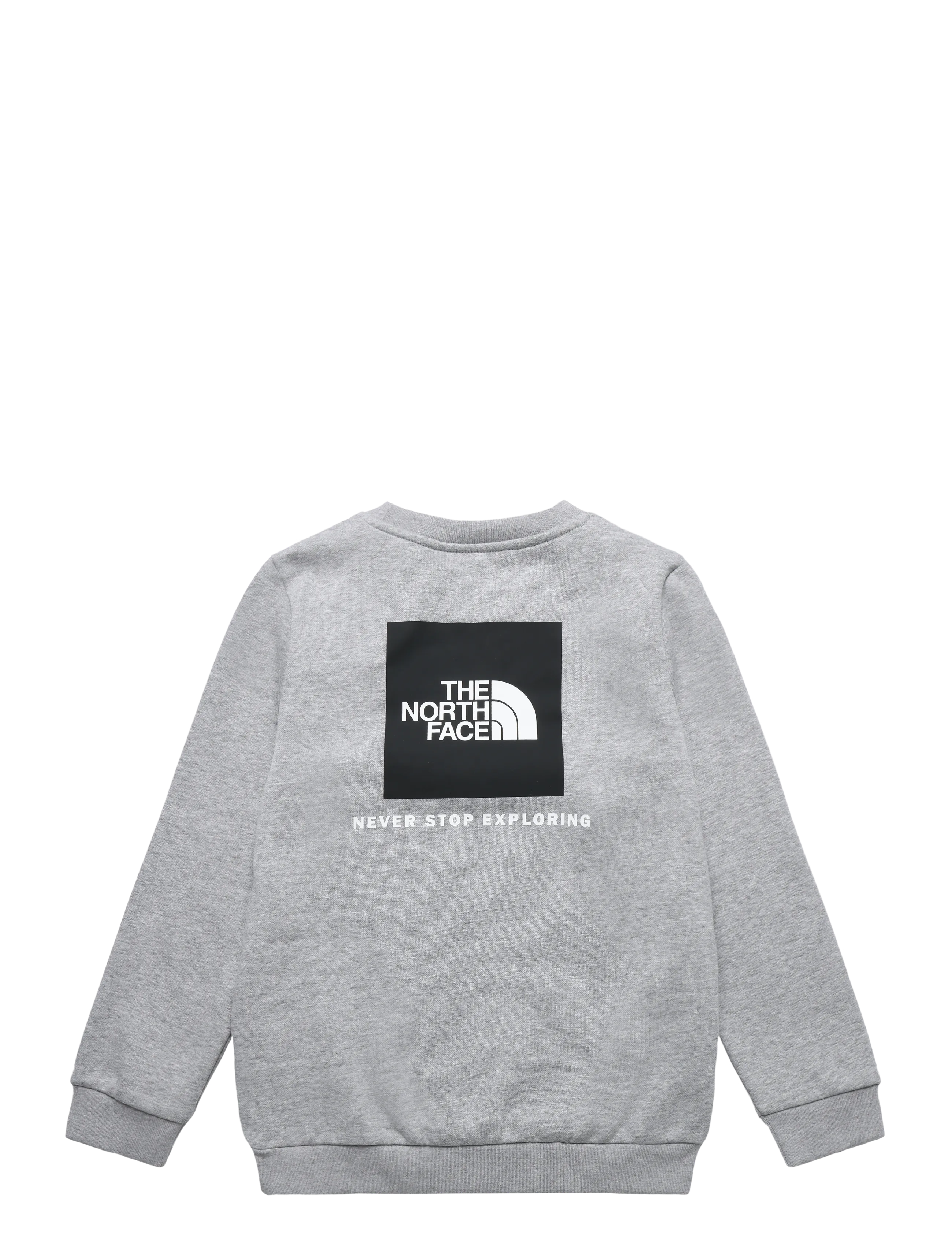 The North Face - TEEN EVOLUTION BOX NSE CREW - dressipluusid - tnf pale grey heather - 2