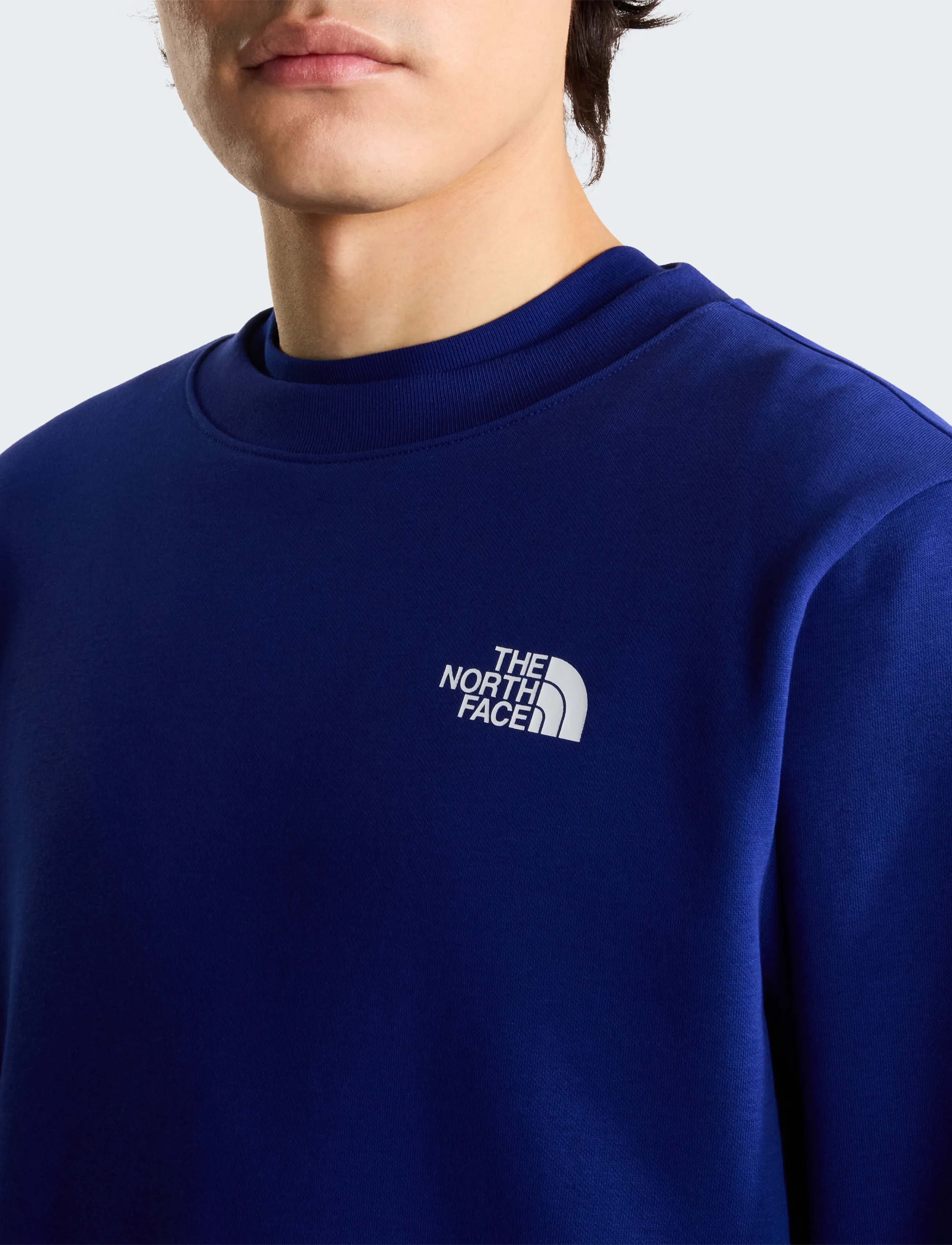 THE NORTH FACE Sweatshirts M Evo Box Nse Reg Crew herr – bild 9