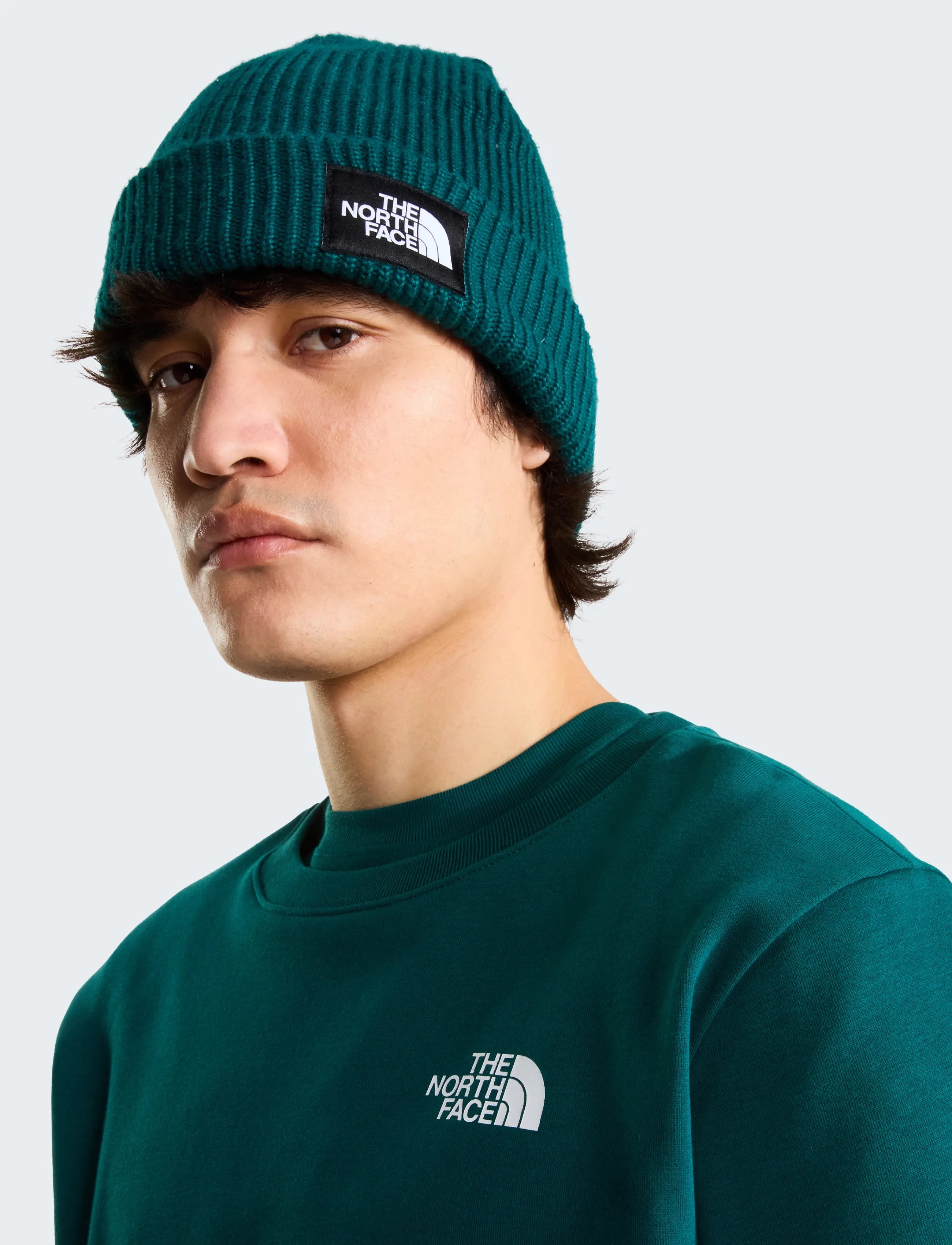 THE NORTH FACE Sweatshirts M Evo Box Nse Reg Crew herr – bild 9