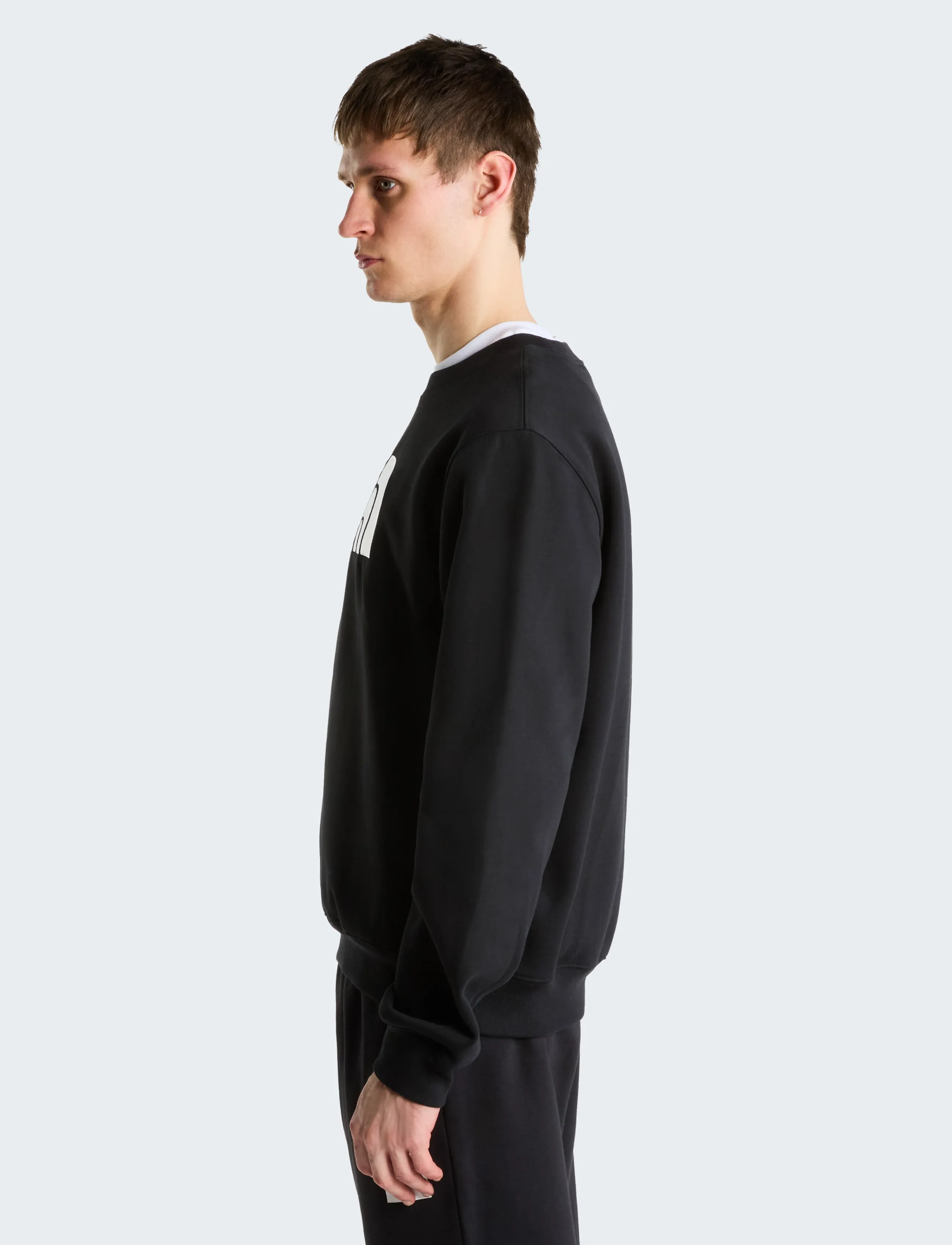 The North Face - M TNF ESSENTIAL DREW PEAK REGULAR CREW - oberteile - tnf black - 4