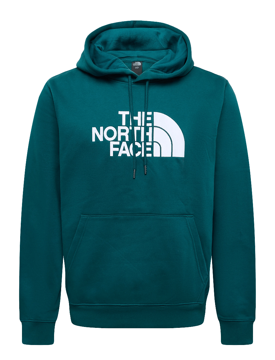 The North Face - M TNF ESSENTIAL DREW PEAK REGULAR HOODIE - overdele - pacific teal - 1