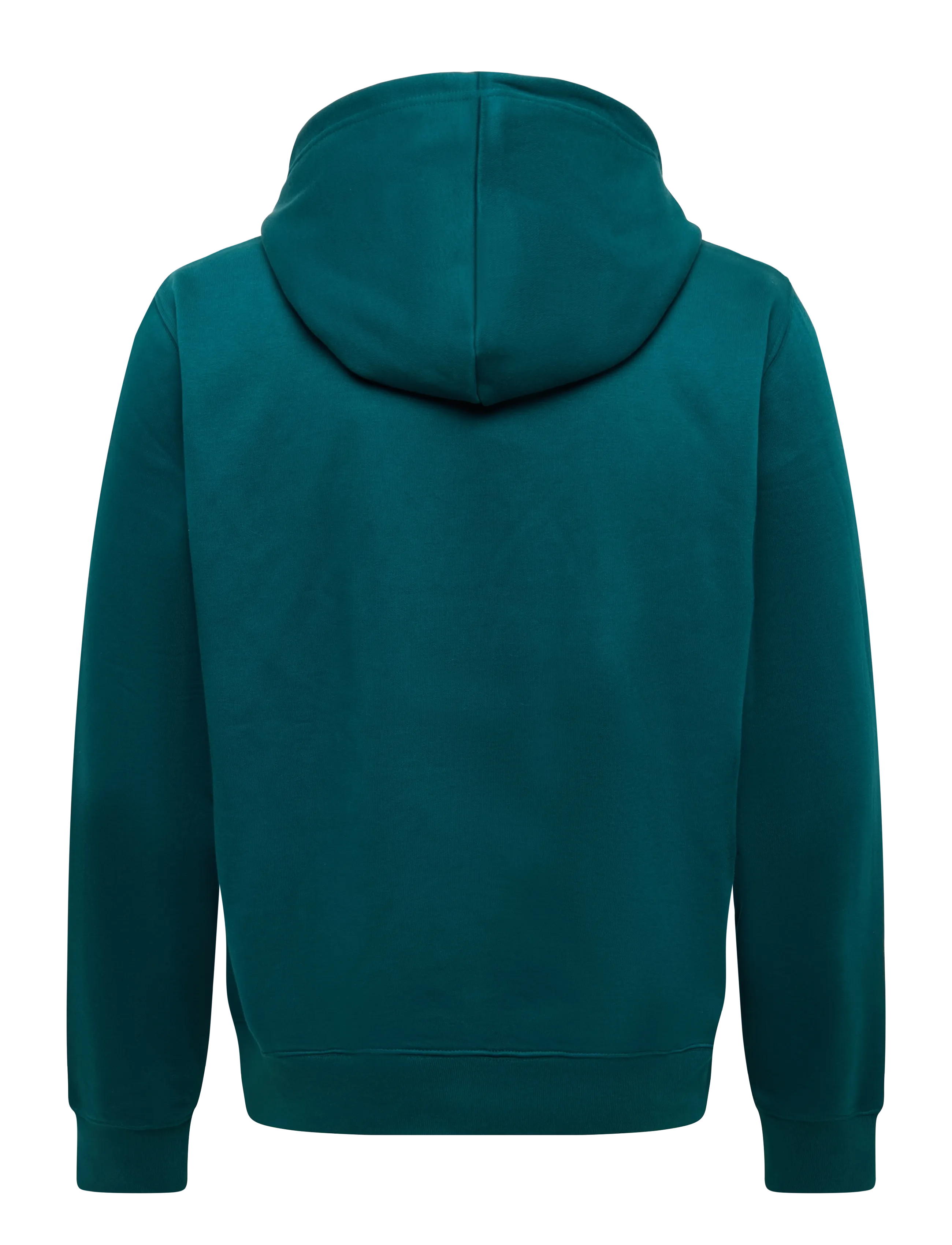 The North Face - M TNF ESSENTIAL DREW PEAK REGULAR HOODIE - overdele - pacific teal - 2