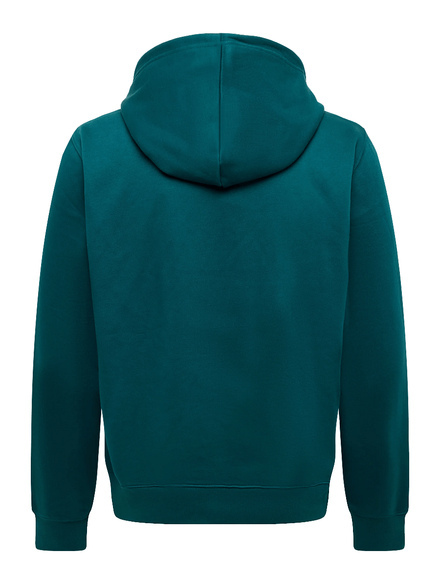 The North Face - M TNF ESSENTIAL DREW PEAK REGULAR HOODIE - overdele - pacific teal - 2