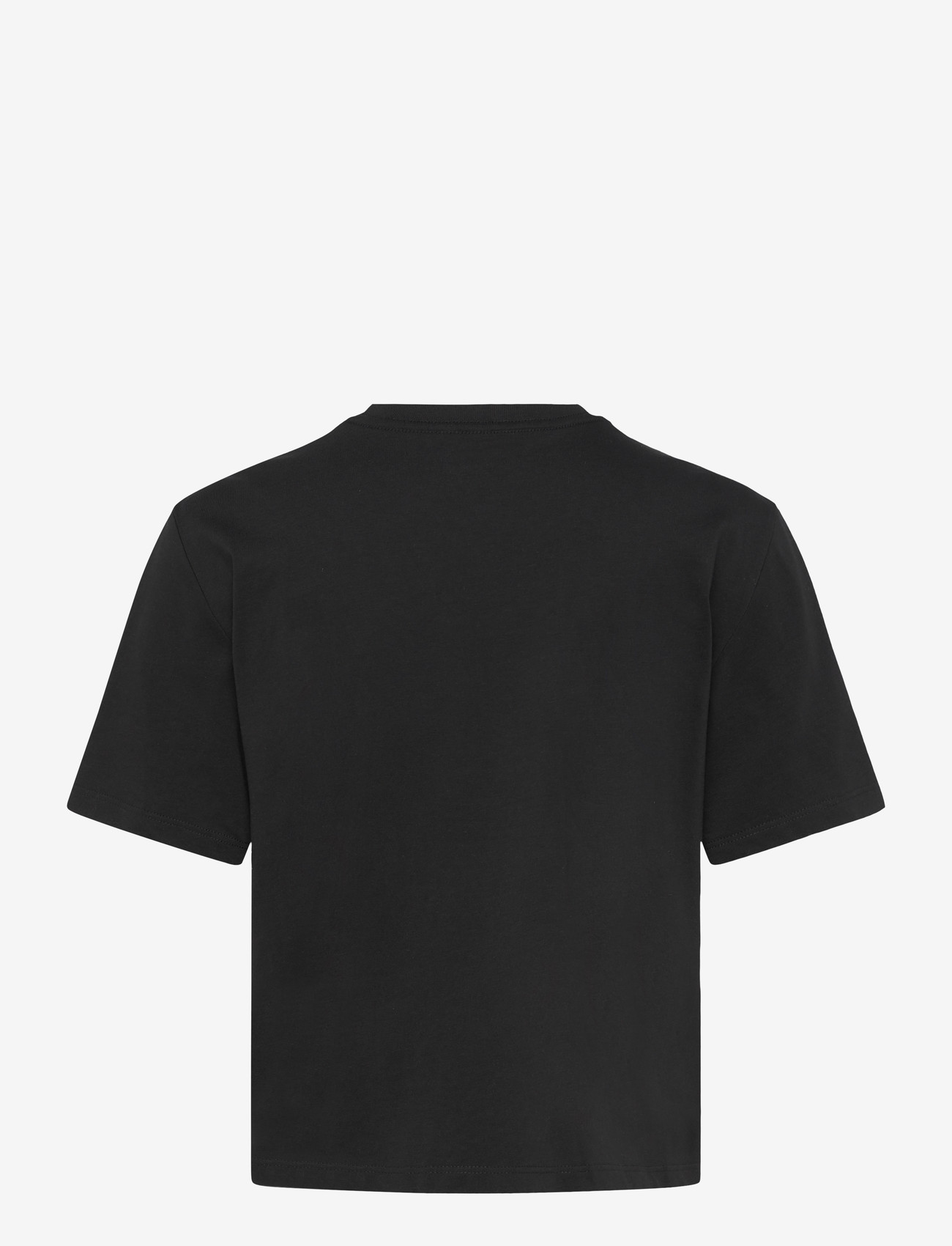 The North Face - W EVOLUTION SIMPLE DOME CROP RLX SS TEE - t-shirts - tnf black - 2