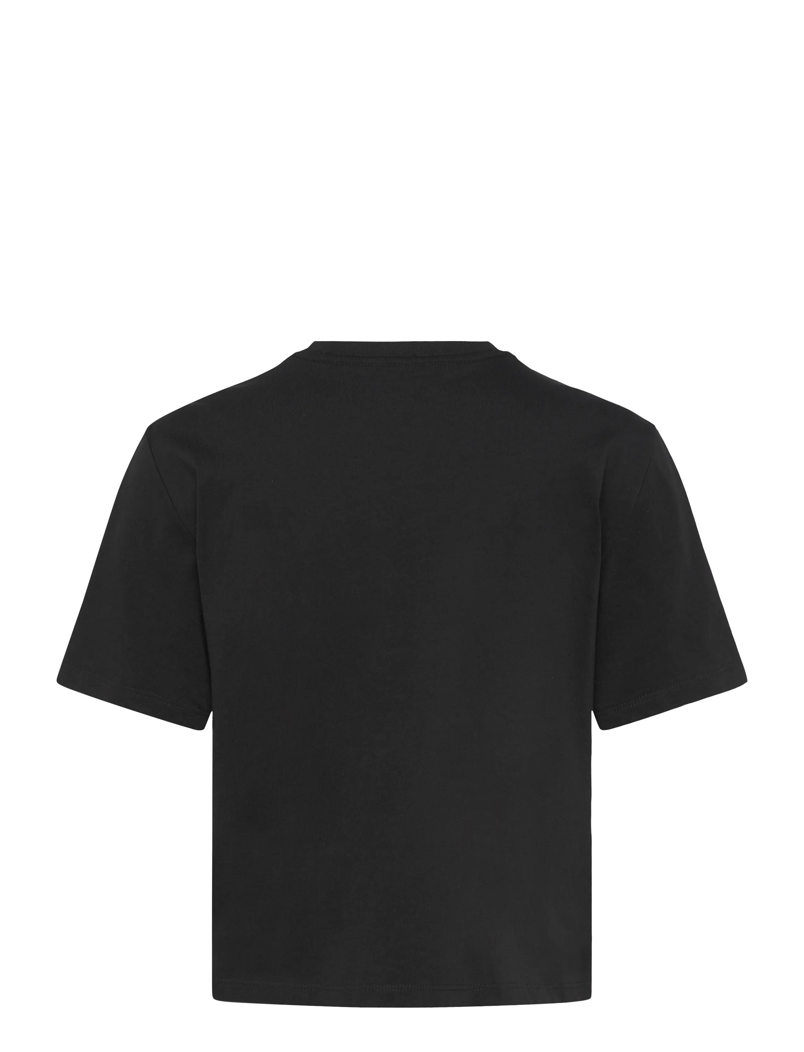 The North Face - W EVOLUTION SIMPLE DOME CROP RLX SS TEE - crop-tops - tnf black - 2