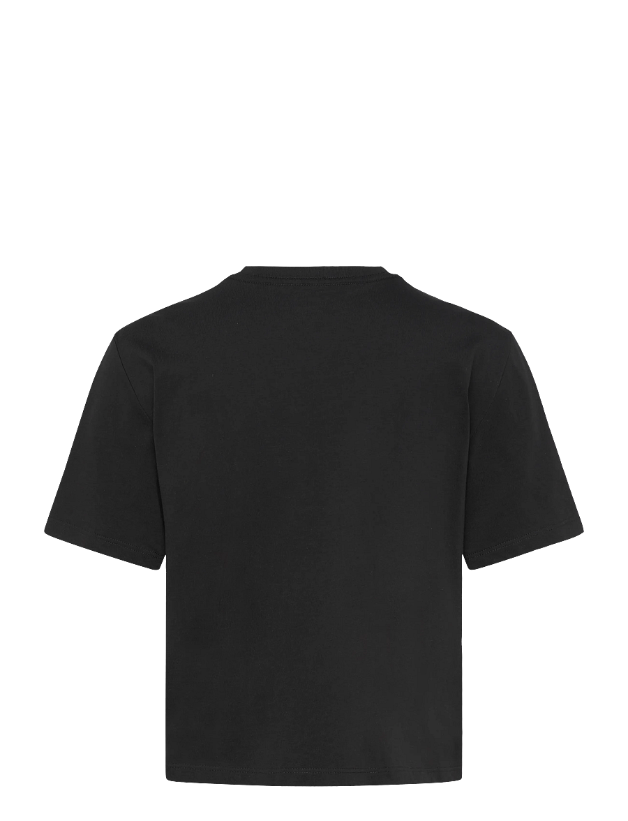 The North Face - W EVOLUTION SIMPLE DOME CROP RLX SS TEE - crop-tops - tnf black - 2
