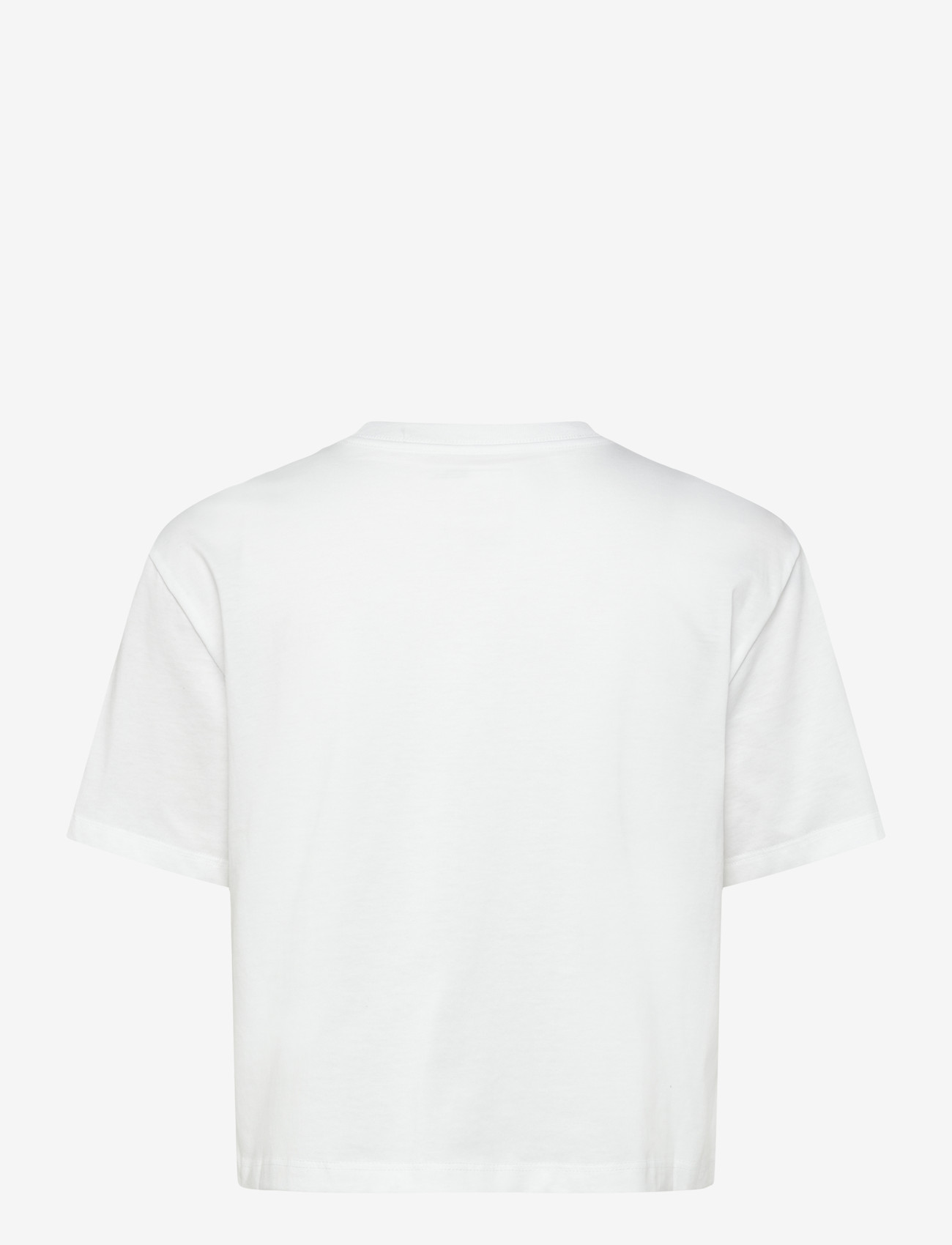 The North Face - W EVOLUTION SIMPLE DOME CROP RLX SS TEE - t-shirts - tnf white - 2