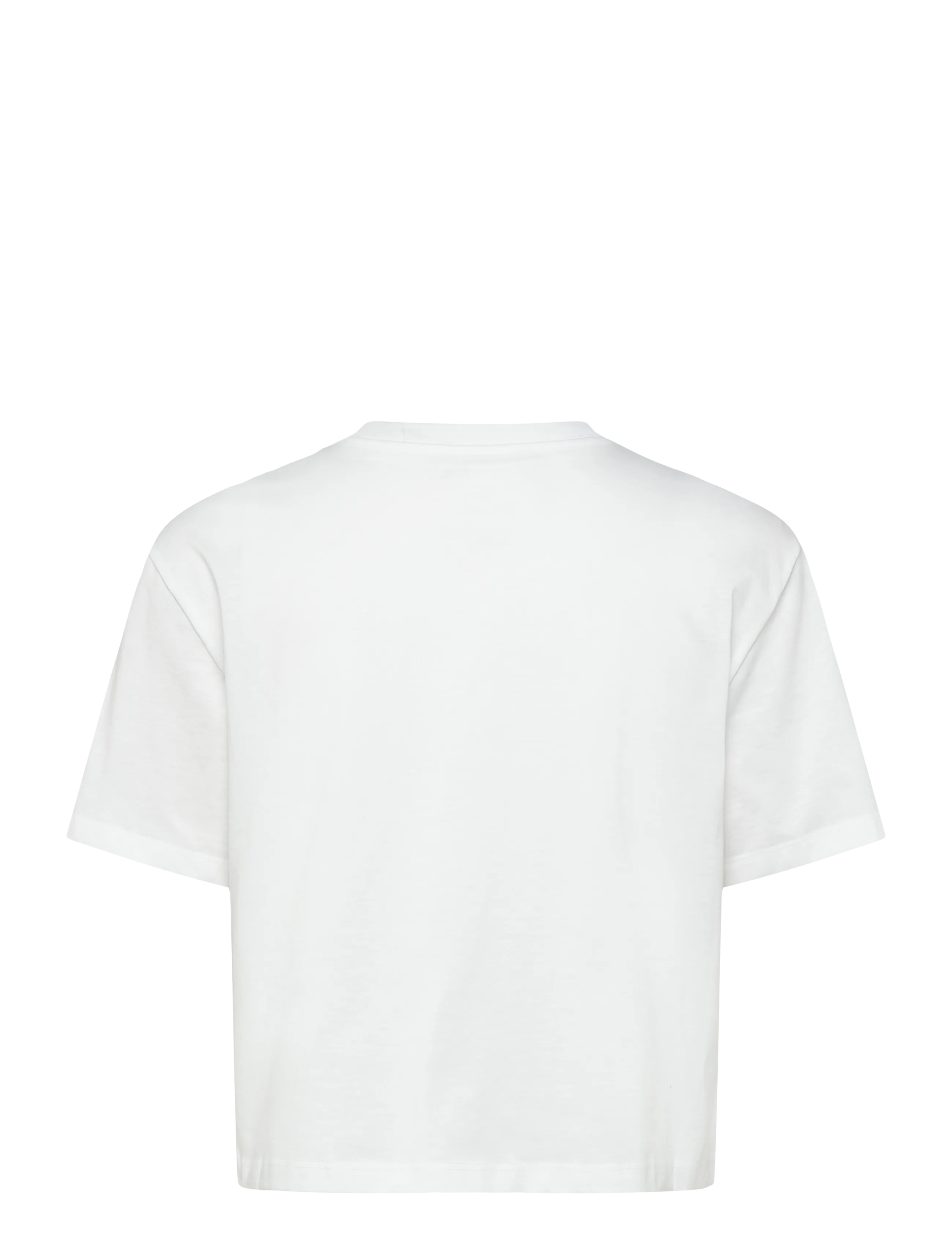 The North Face - W EVOLUTION SIMPLE DOME CROP RLX SS TEE - crop-tops - tnf white - 2
