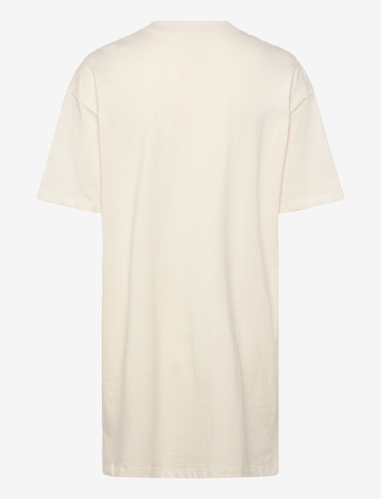 The North Face - W EVOLUTION SIMPLE DOME T-SHIRT DRESS - kleider & röcke - white dune - 2