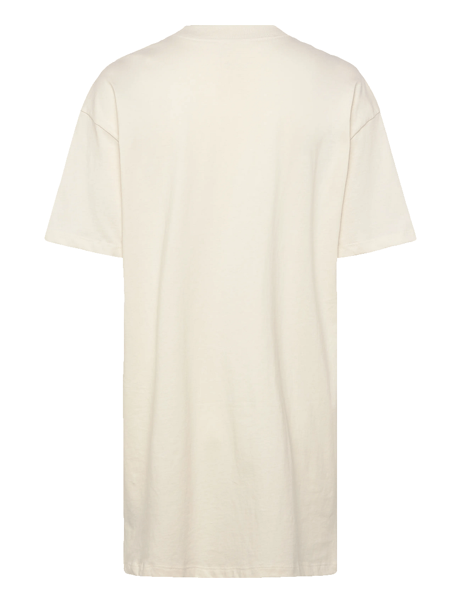 The North Face - W EVOLUTION SIMPLE DOME T-SHIRT DRESS - kleider & röcke - white dune - 2