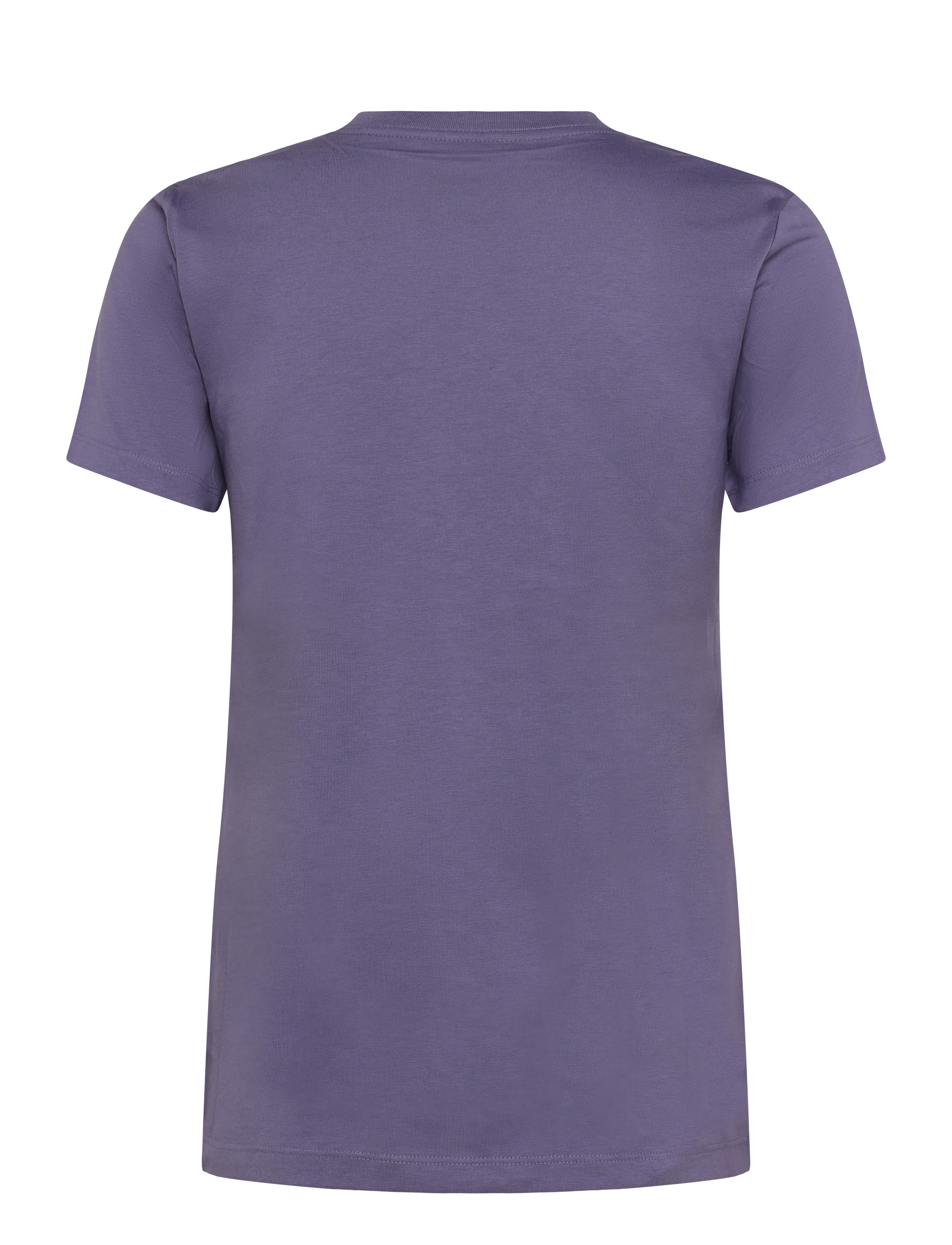 The North Face - W EVOLUTION SIMPLE DOME SLM SHORT SLEEVE - alussärgid ja t-särgid - grounded plum - 2