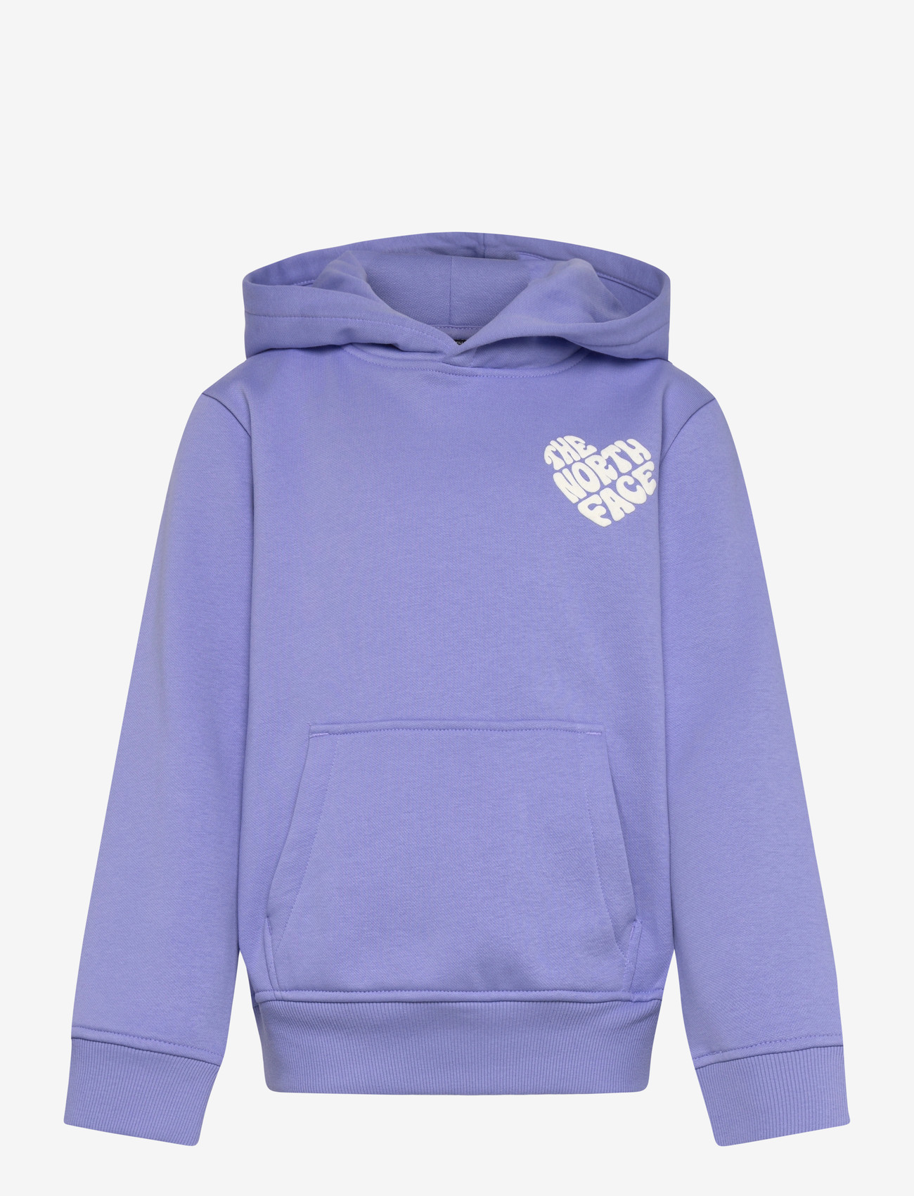 The North Face - G BRAND PROUD RELAXED HOODIE - kapuutsiga dressipluusid - periwinkle glow - 1