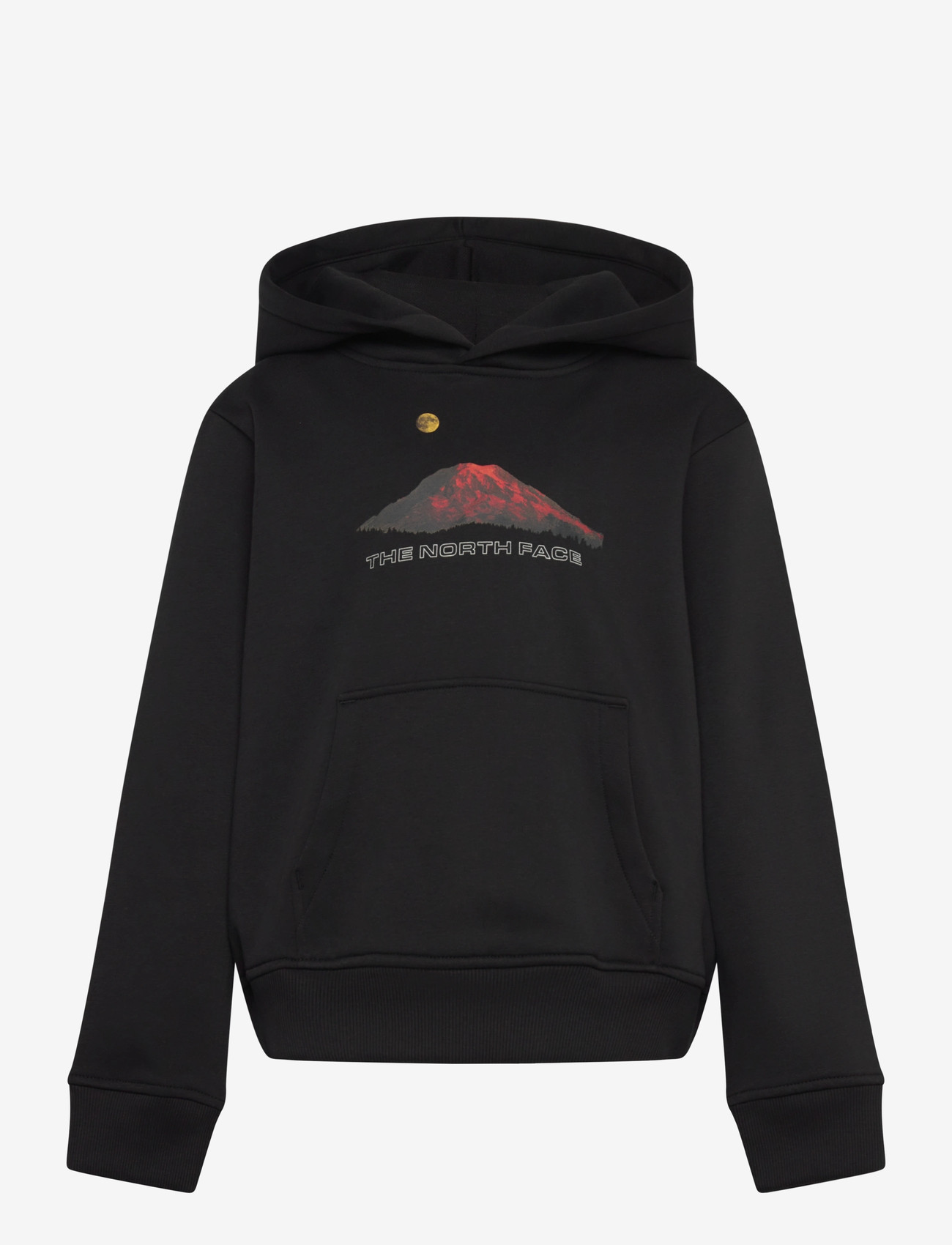 The North Face - B MOUNTAIN NIGHT RELAXED HOODIE - kapuutsiga dressipluusid - tnf black - 1