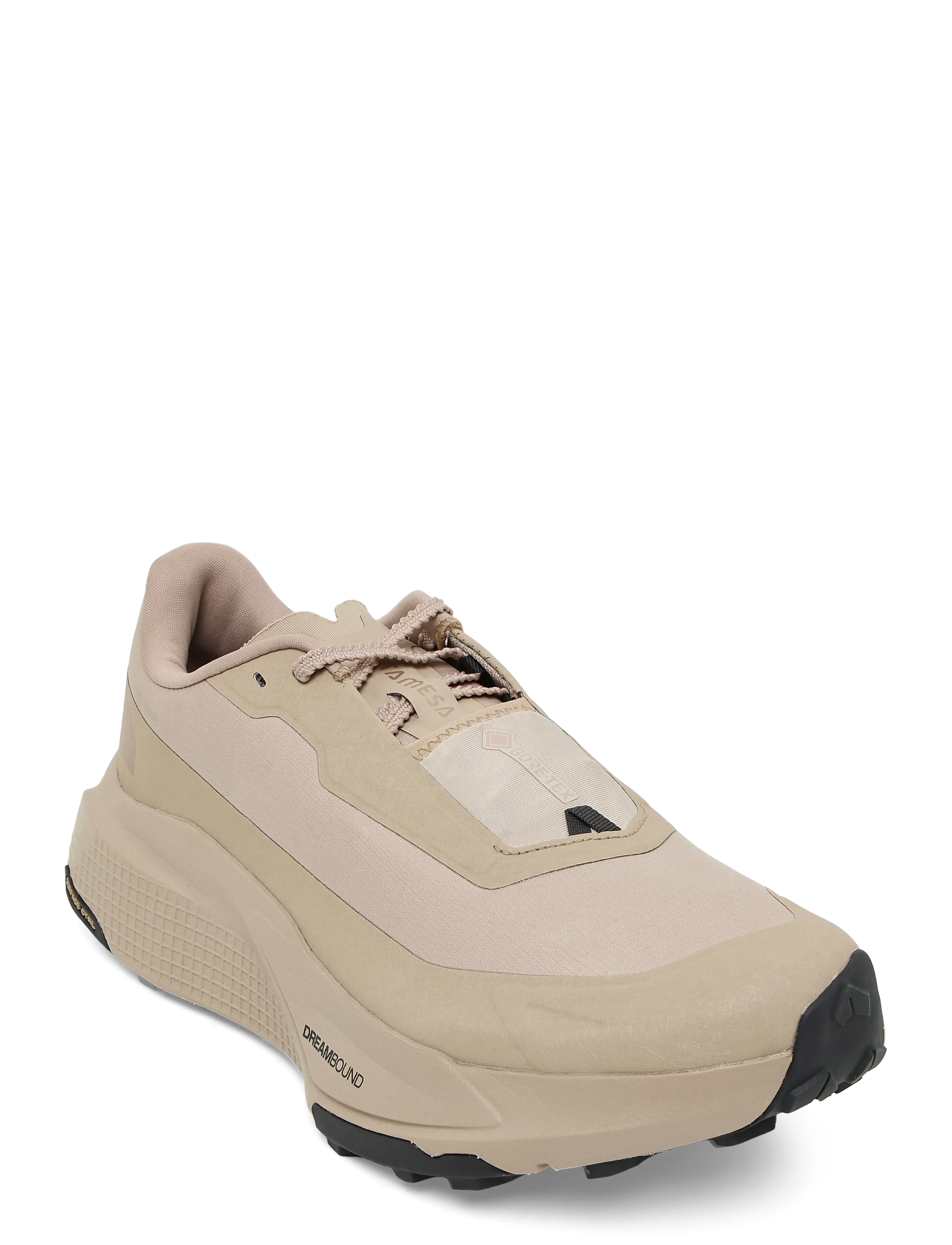The North Face M ALTAMESA 500 V2 GORE-TEX - Streetstyle - TIMELESS TAUPE/SOAPSTON / beige