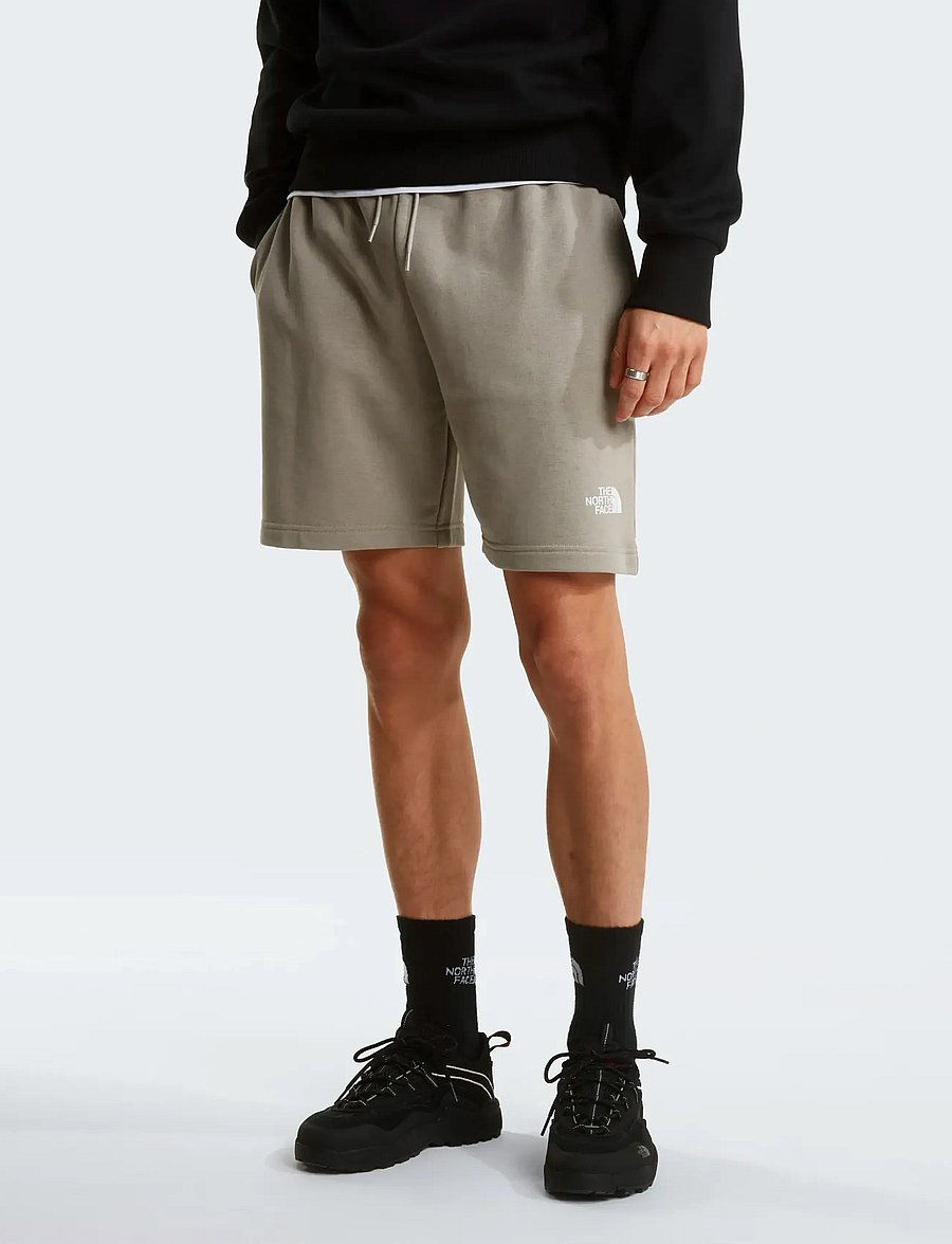 The North Face - M SIMPLE DOME LIGHT REGULAR SHORTS - shorts - stone slab - 0