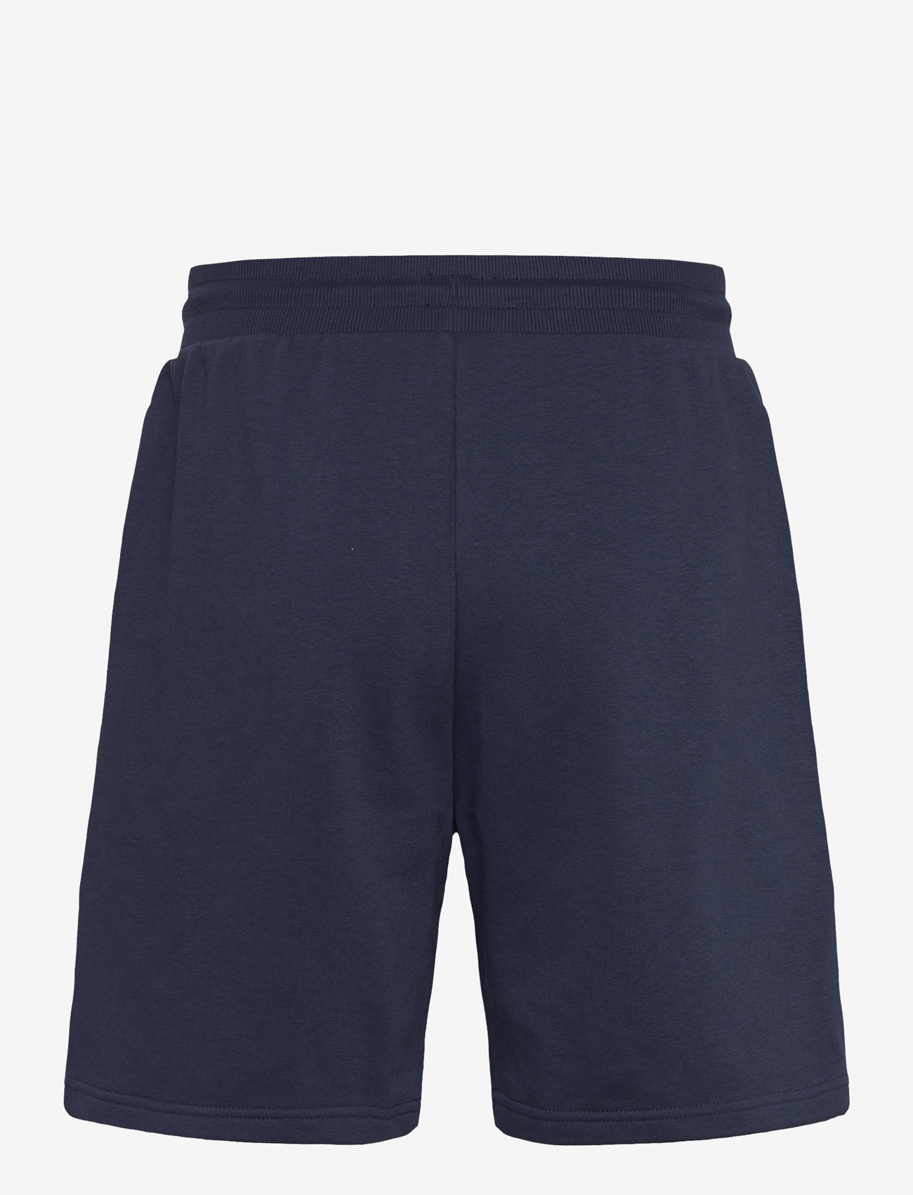 The North Face - M SIMPLE DOME LIGHT REGULAR SHORTS - underdele - summit navy - 2