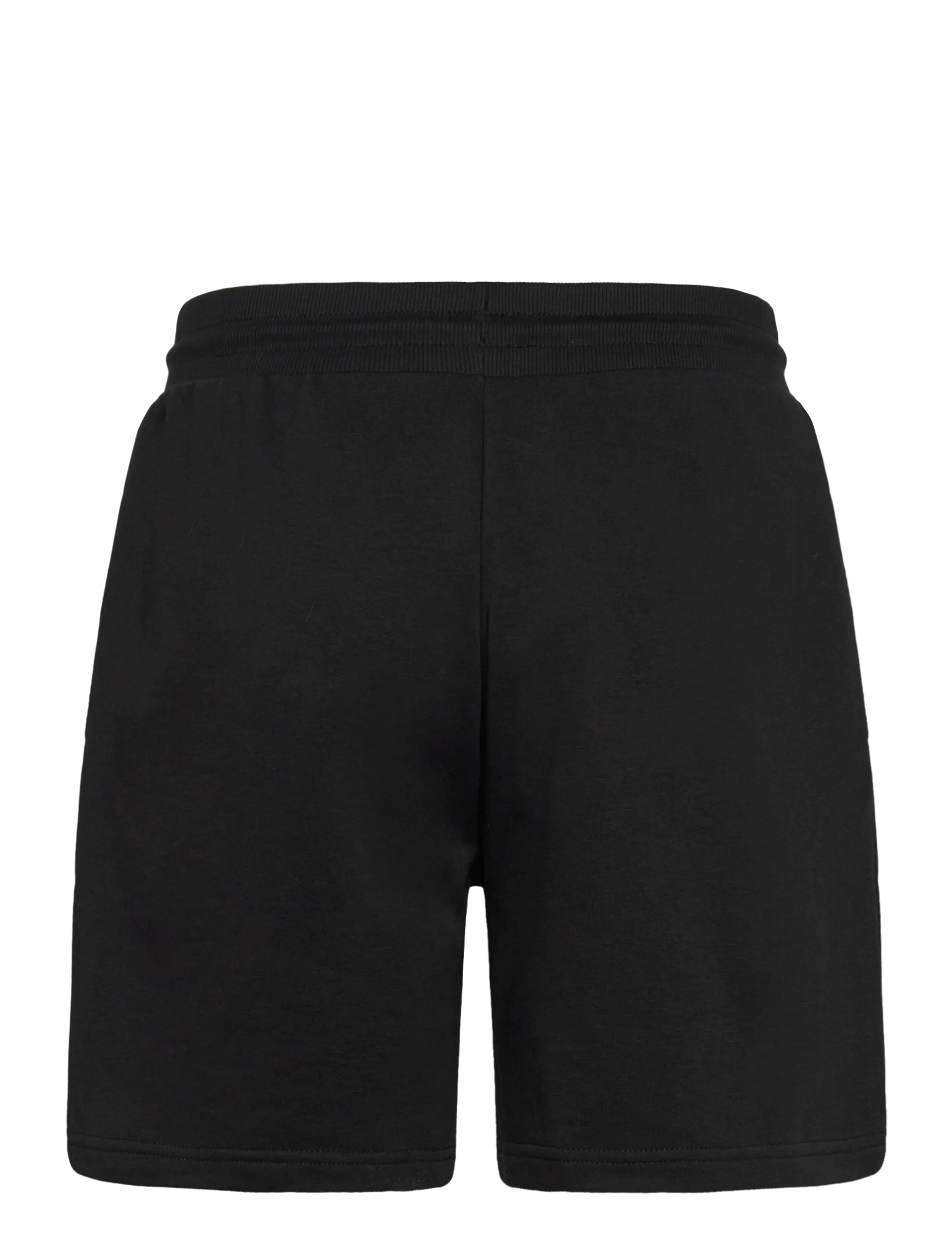 The North Face - M SIMPLE DOME LIGHT REGULAR SHORTS - püksid - tnf black - 2