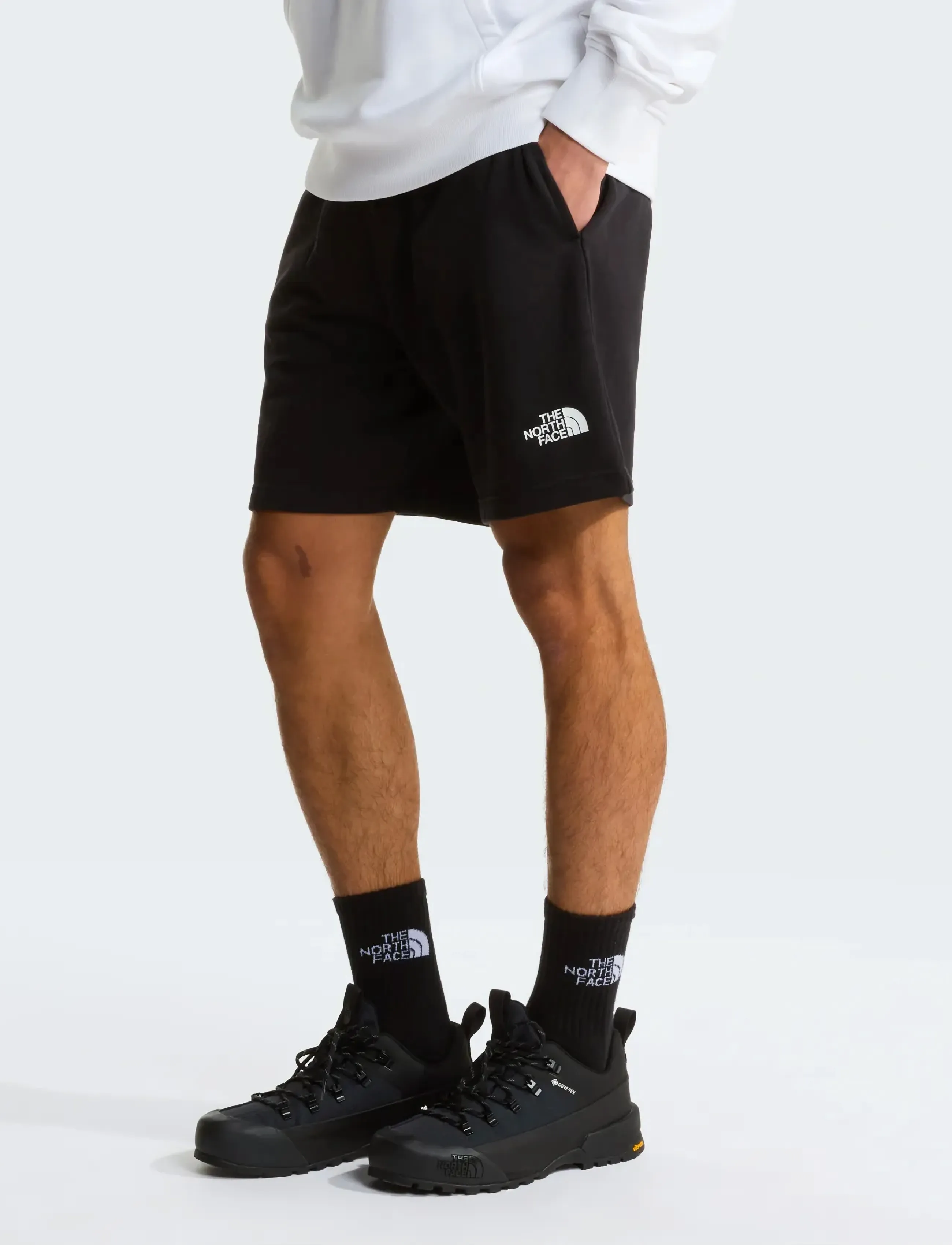 The North Face M SIMPLE DOME LIGHT REGULAR SHORTS - Szorty - TNF BLACK / black