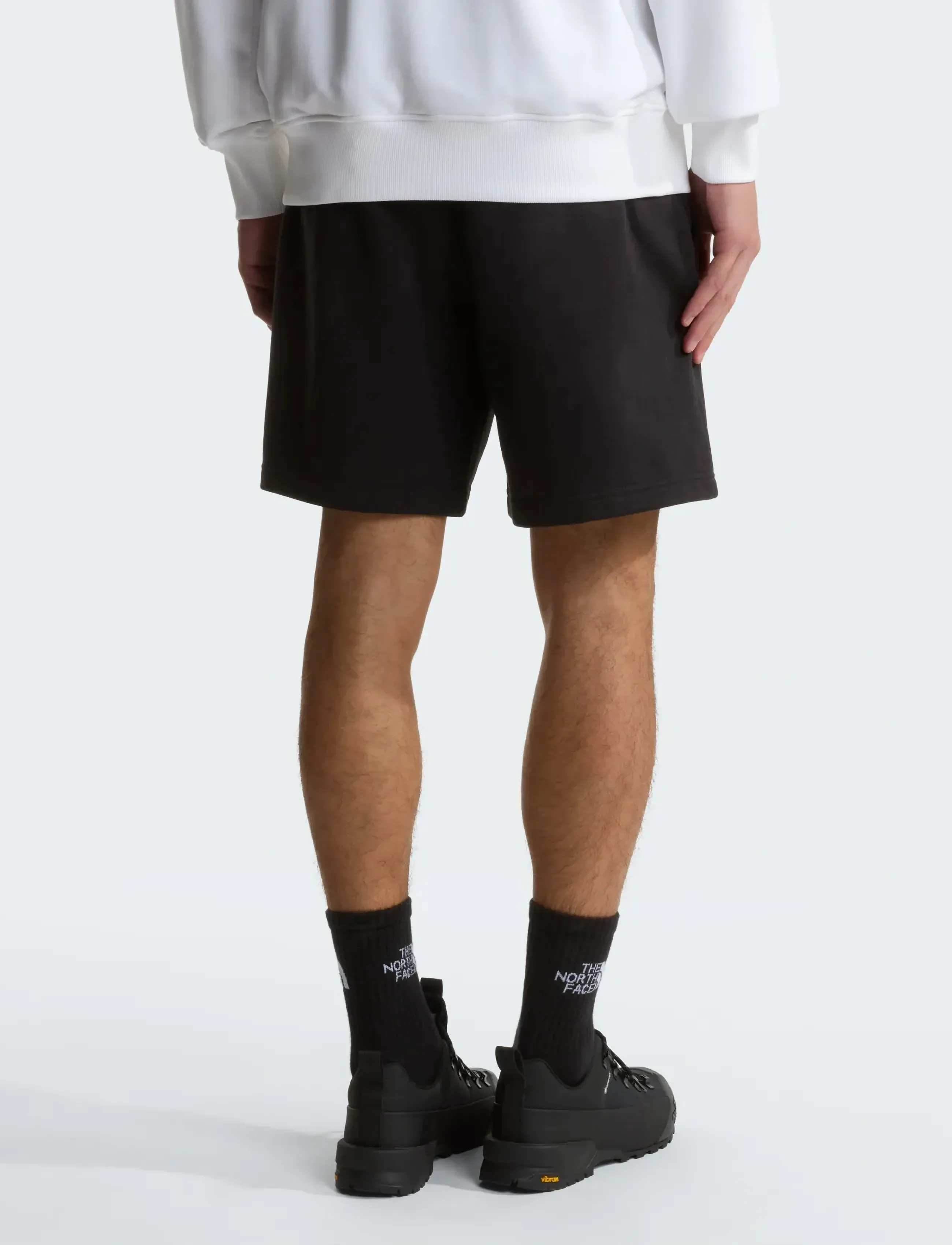 The North Face - M SIMPLE DOME LIGHT REGULAR SHORTS - püksid - tnf black - 5