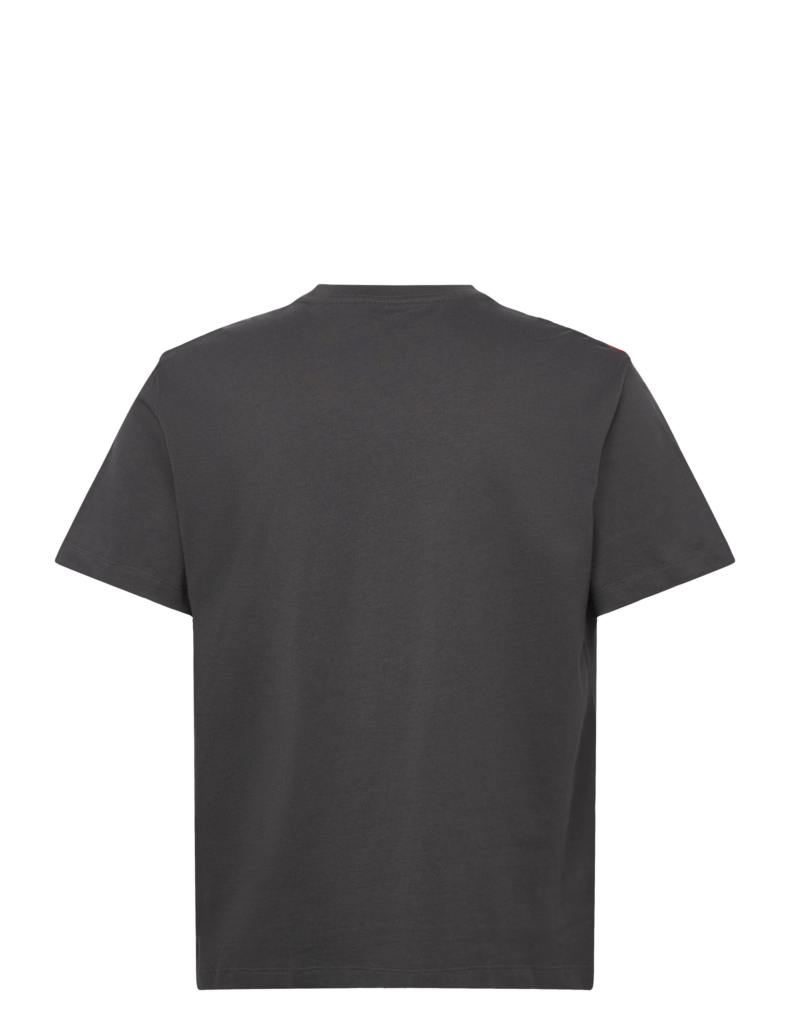 The North Face - M ESSENTIAL CENTER LOGO RELAXED SHORT SL - t-shirts - anthracite grey - 2