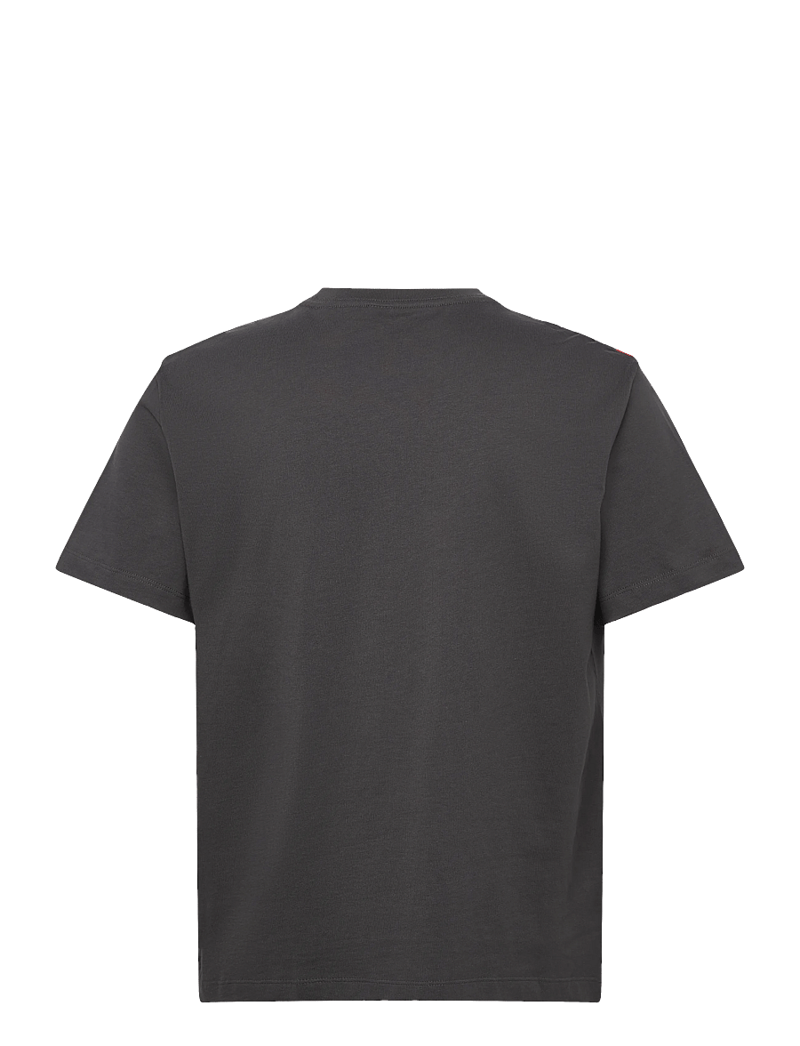 The North Face - M ESSENTIAL CENTER LOGO RELAXED SHORT SL - tops & t-shirts - anthracite grey - 2