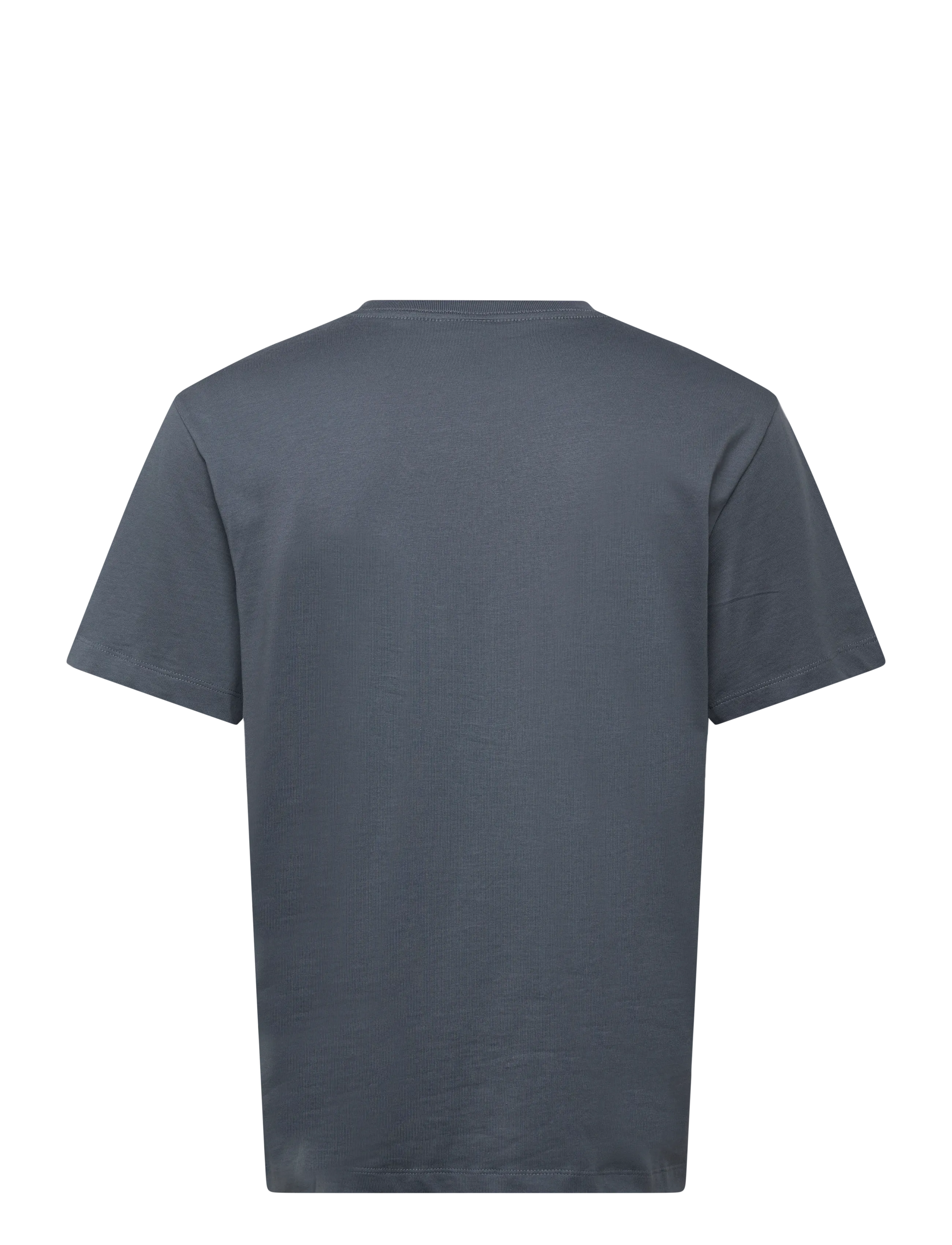 The North Face - M ESSENTIAL CENTER LOGO RELAXED SHORT SL - oberteile & t-shirts - granite grey - 2