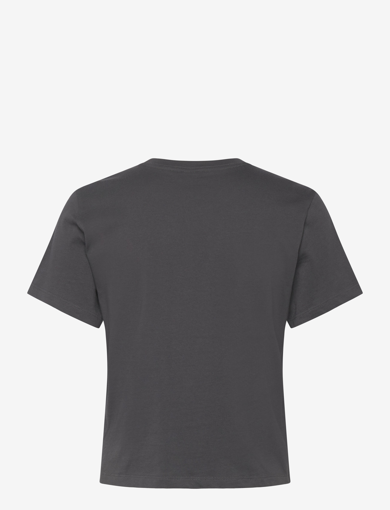The North Face - W ESSENTIAL REGULAR SHORT SLEEVE CUTIE T - t-shirts - anthracite grey - 2