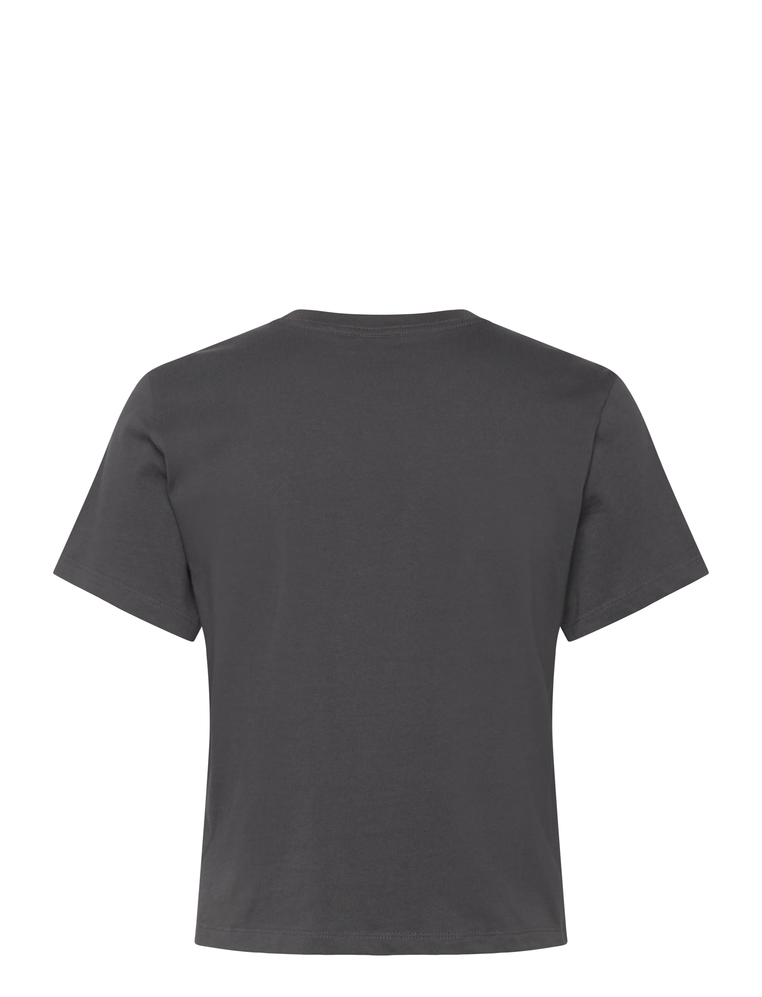 The North Face - W ESSENTIAL REGULAR SHORT SLEEVE CUTIE T - topit & t-paidat - anthracite grey - 2