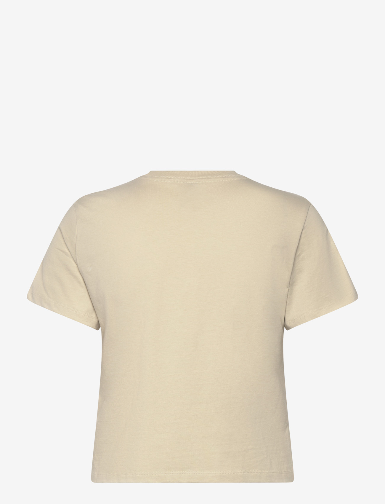 The North Face - W ESSENTIAL REGULAR SHORT SLEEVE CUTIE T - t-shirts - desert stone - 2