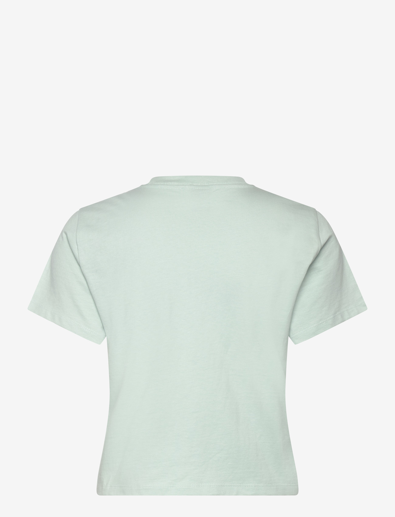 The North Face - W ESSENTIAL REGULAR SHORT SLEEVE CUTIE T - t-shirts - opal frost - 2