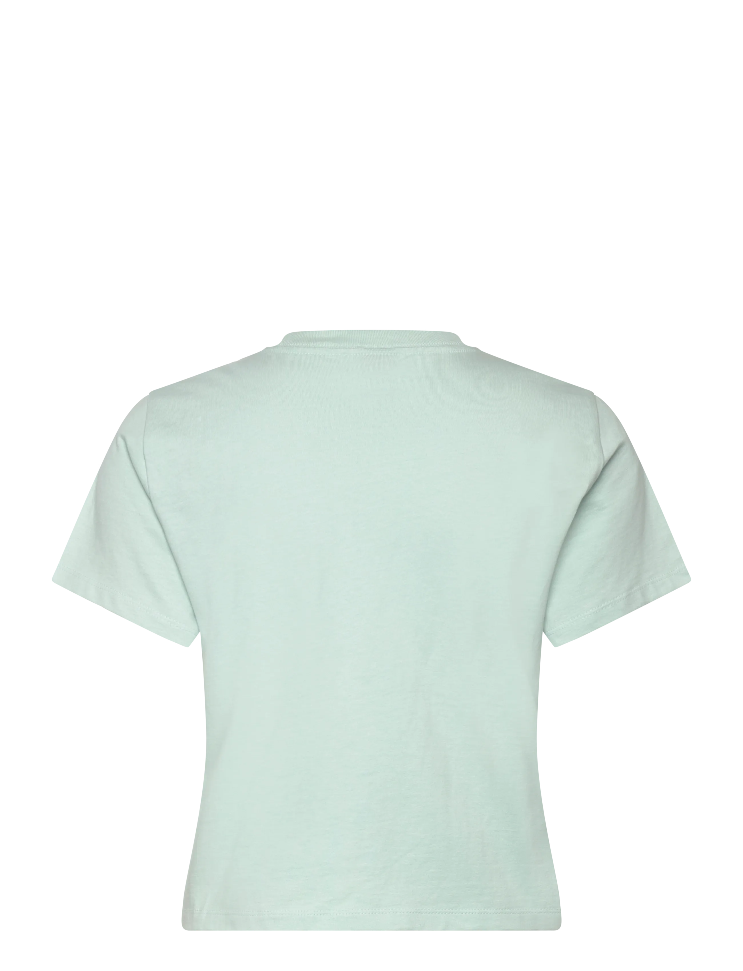 The North Face - W ESSENTIAL REGULAR SHORT SLEEVE CUTIE T - t-shirts - opal frost - 2