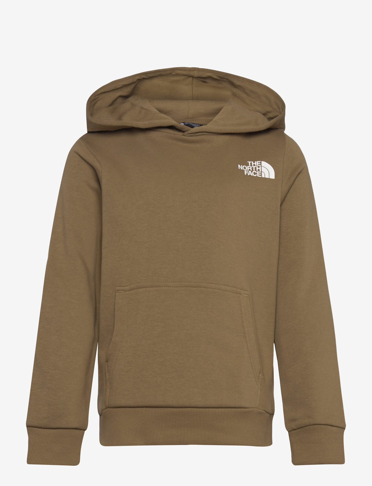 The North Face - TEEN SIMPLE DOME LIGHT REG HOODIE - kapuutsiga dressipluusid - cedar - 1