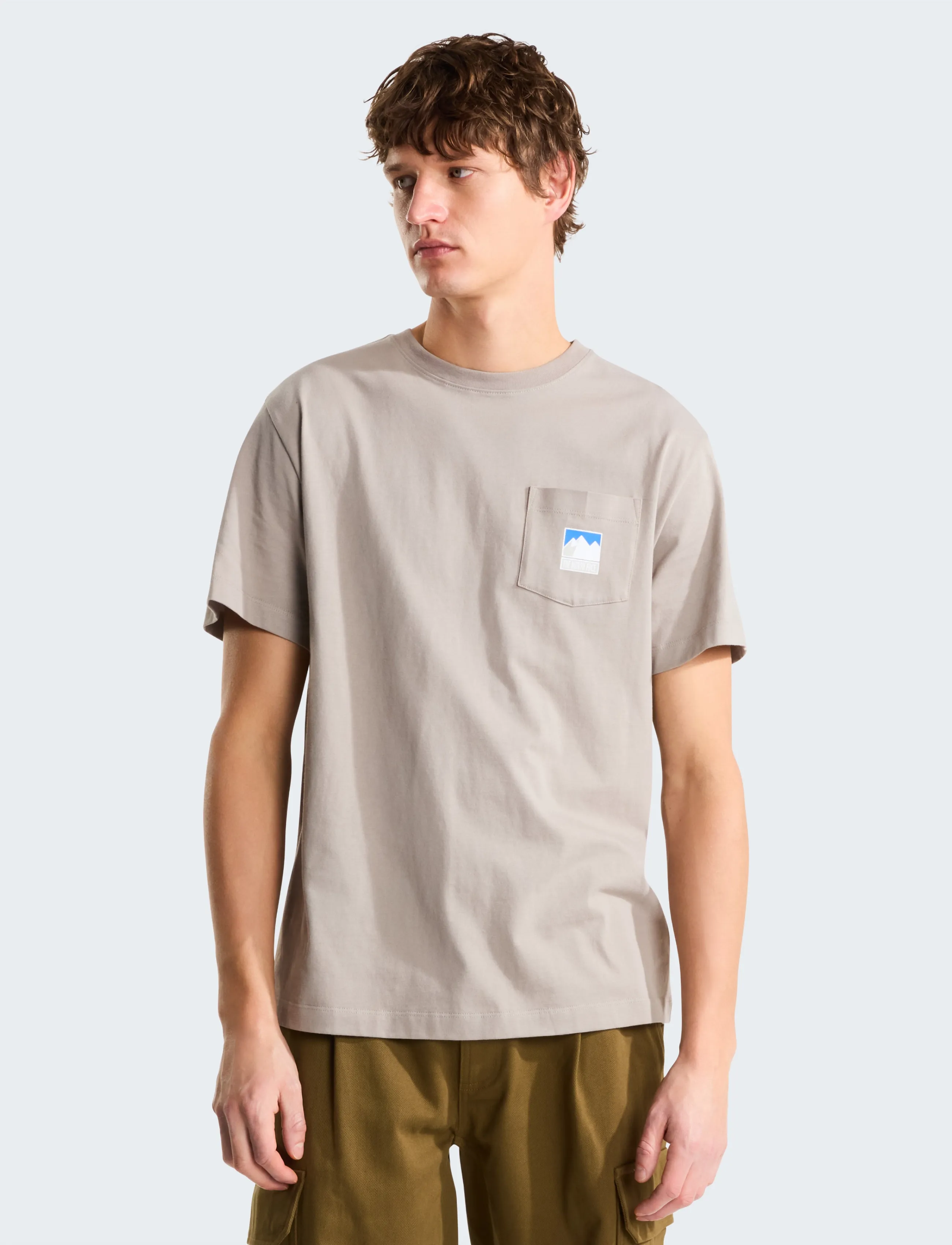 The North Face M MOUNTAIN LOGO RLX SS TEE-GRAPHIC - Kortærmede T-shirts - STONE SLAB / beige