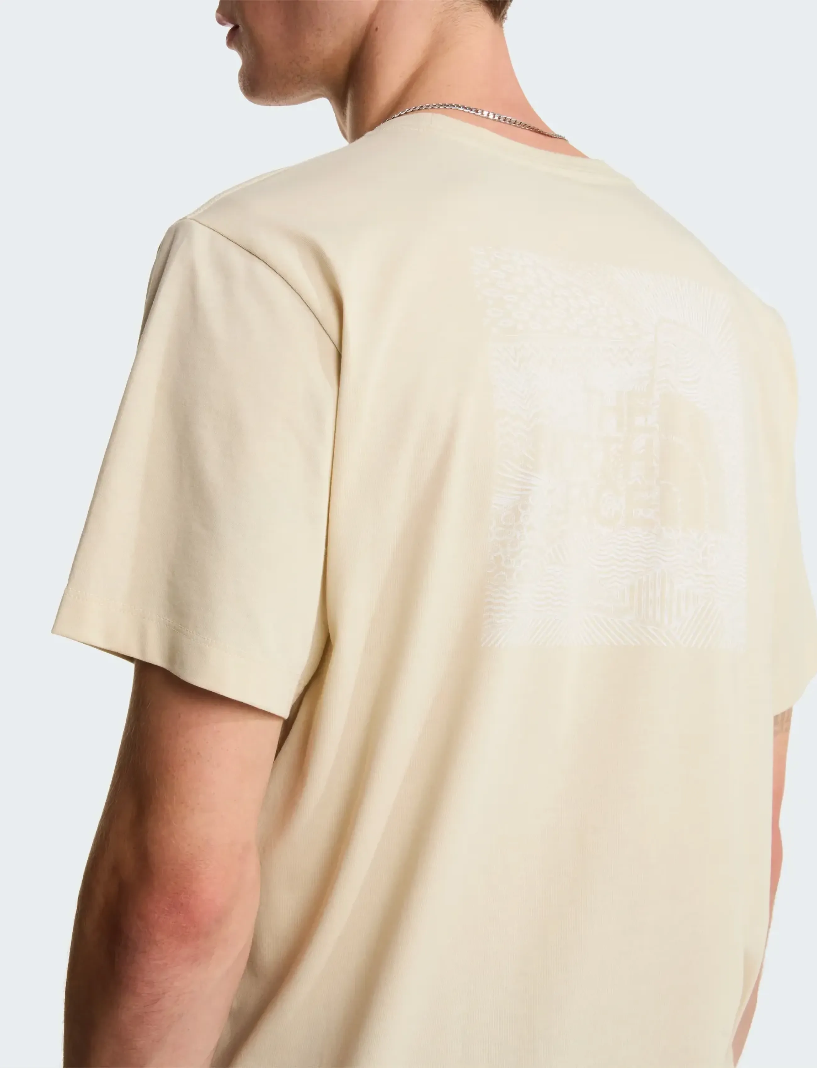 The North Face M BOX NSE CELEBRATION REGULAR SHORT SLEE - Riided - DESERT STONE / beige