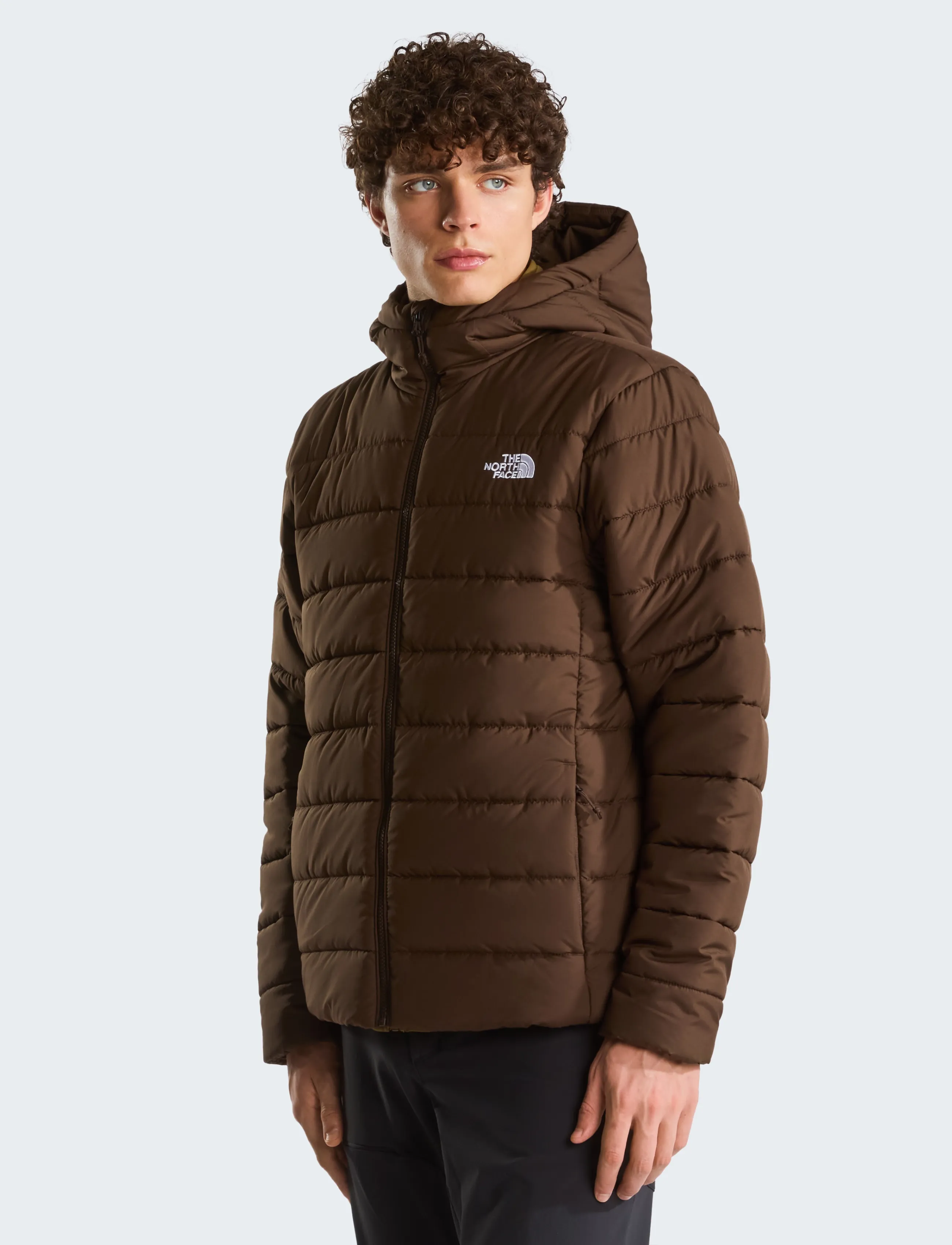 The North Face - M ACONCAGUA HOODED JACKET - outdoor jacken - dark chestnut - 0