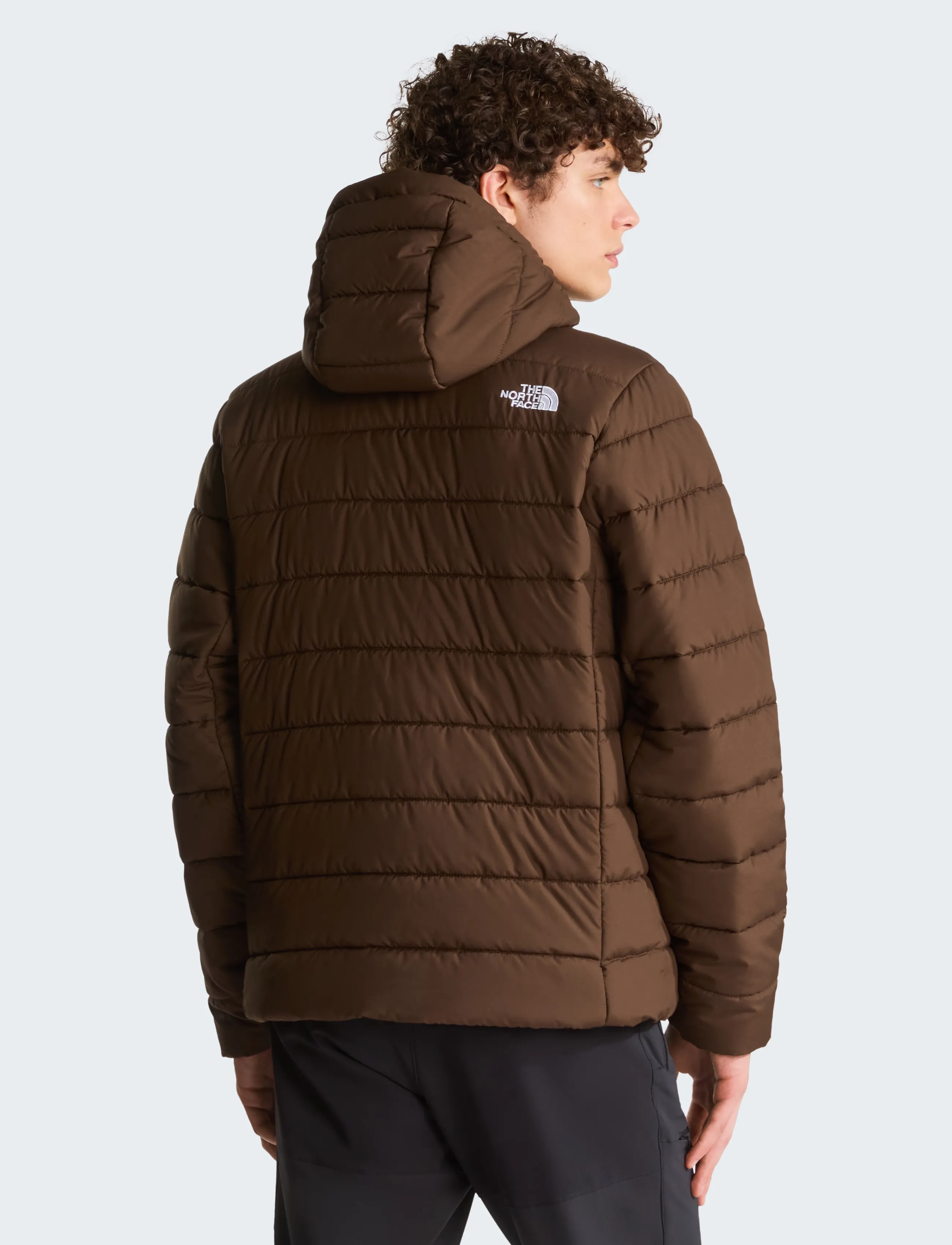 The North Face - M ACONCAGUA HOODED JACKET - outdoor jacken - dark chestnut - 5