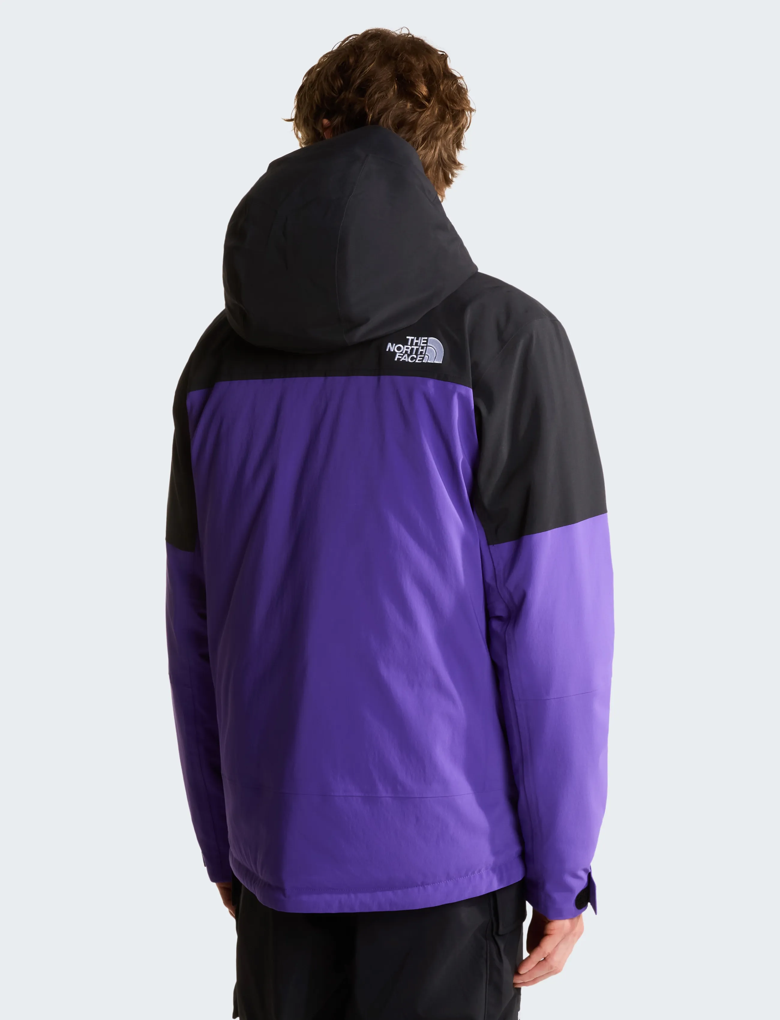 The North Face - M FREEDOM INSULATED JACKET - skijakker - peak purple/tnf black - 5