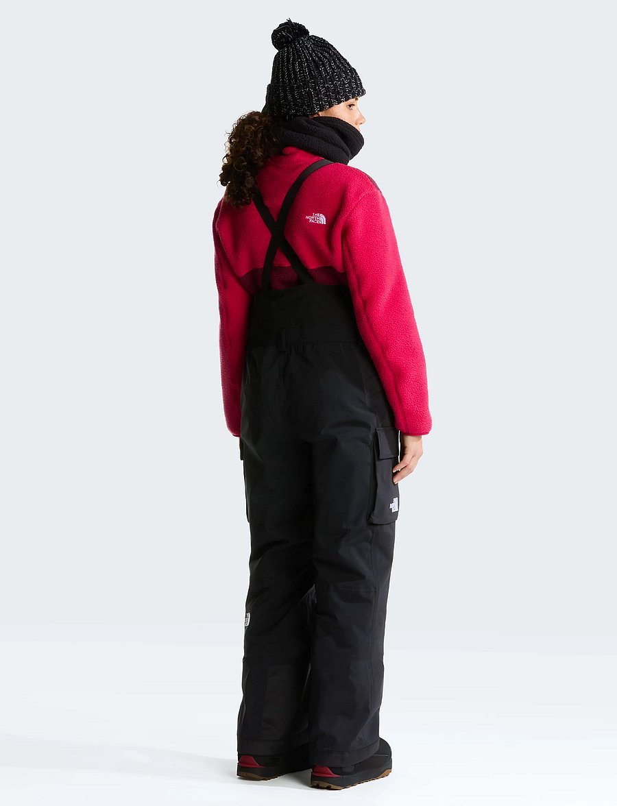 The North Face - W FREEDOM INSULATED BIB - ski-kleidung - tnf black - 5