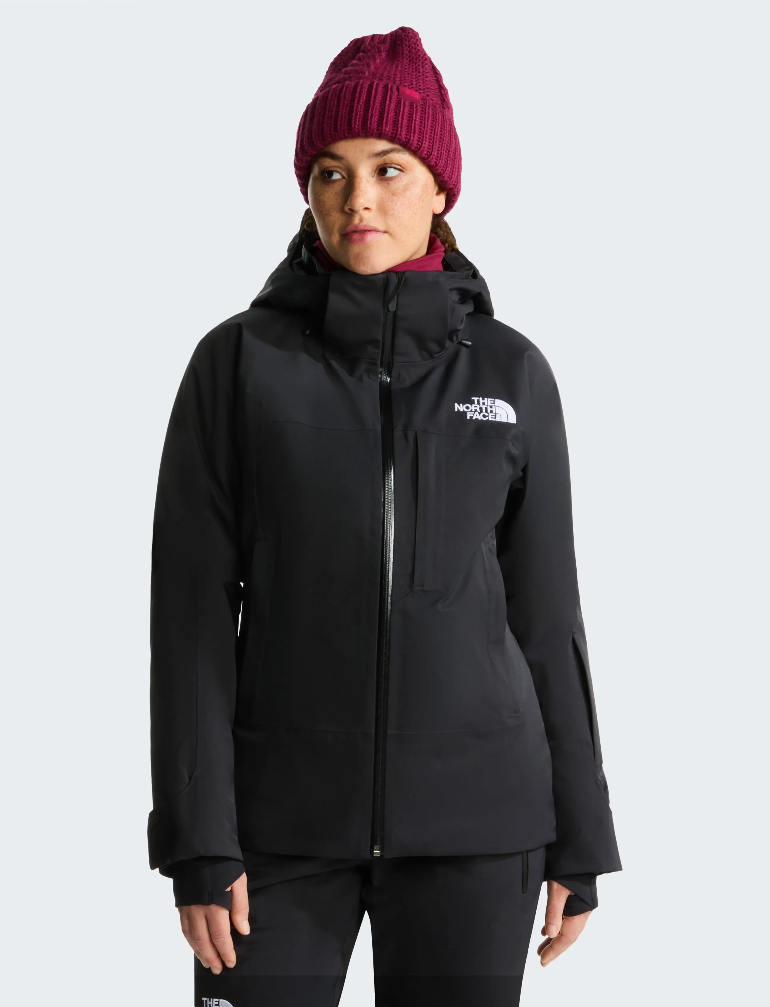 The North Face - W LENADO JACKET - skidkläder - tnf black - 0