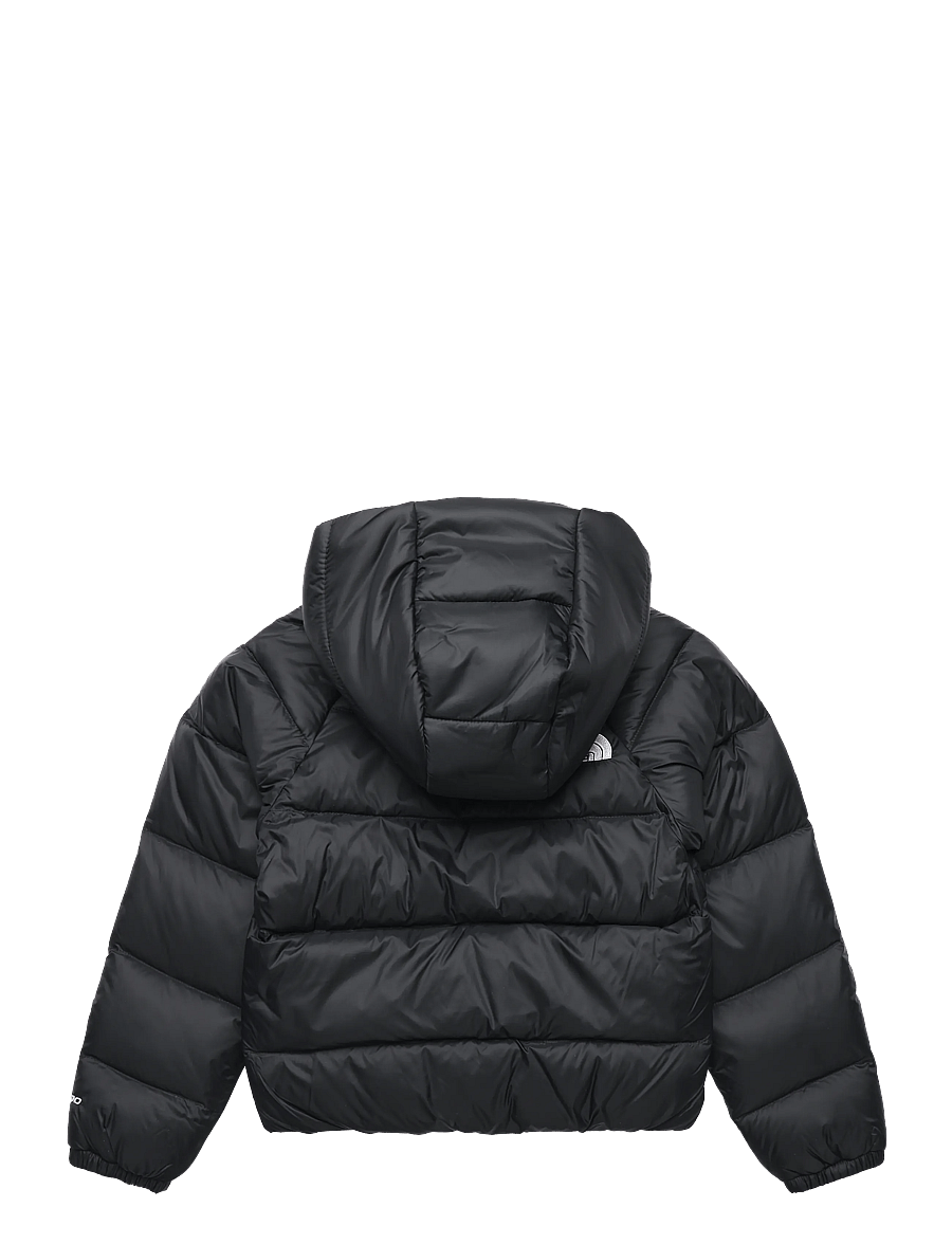 The North Face - G HYDRENALITE DOWN HOODED JACKET - paksud joped - tnf black - 2