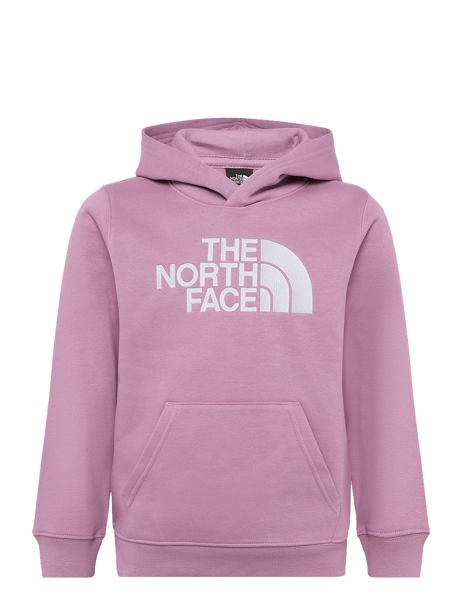 The North Face - TEEN TNF ESSENTIAL DREW PEAK HOODIE - hættetrøjer - hushed lavender - 1