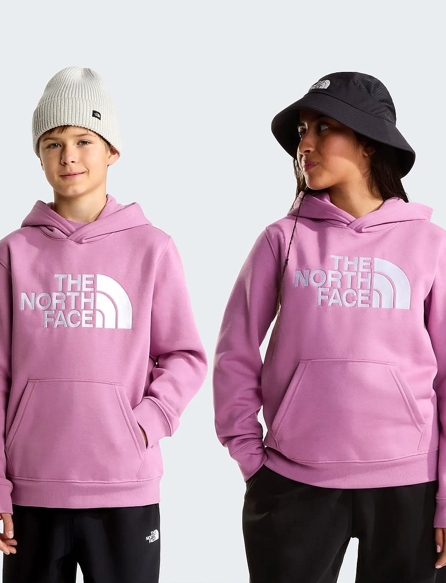 The North Face - TEEN TNF ESSENTIAL DREW PEAK HOODIE - hættetrøjer - hushed lavender - 0