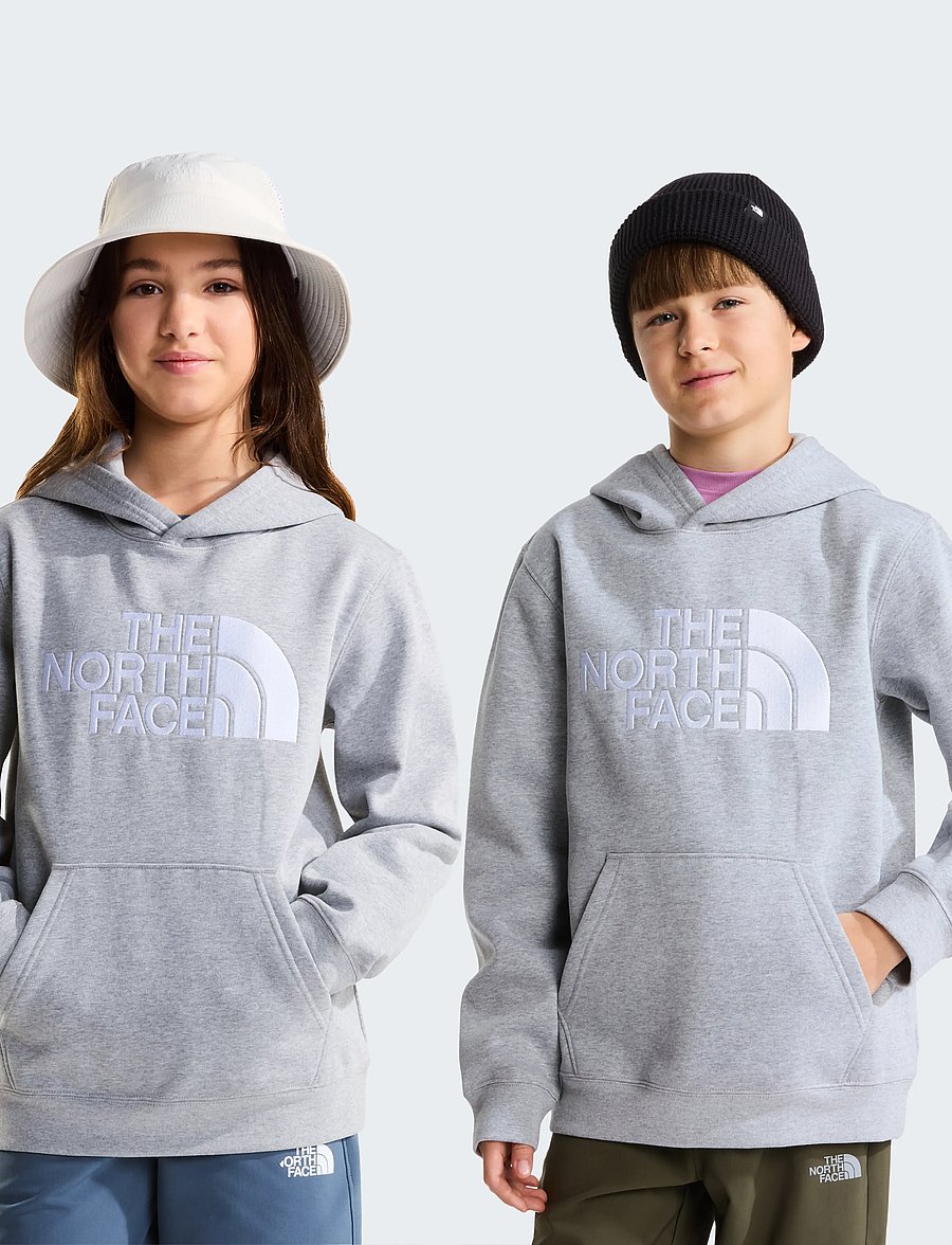 The North Face - TEEN TNF ESSENTIAL DREW PEAK HOODIE - hoodies - tnf pale grey heather - 0